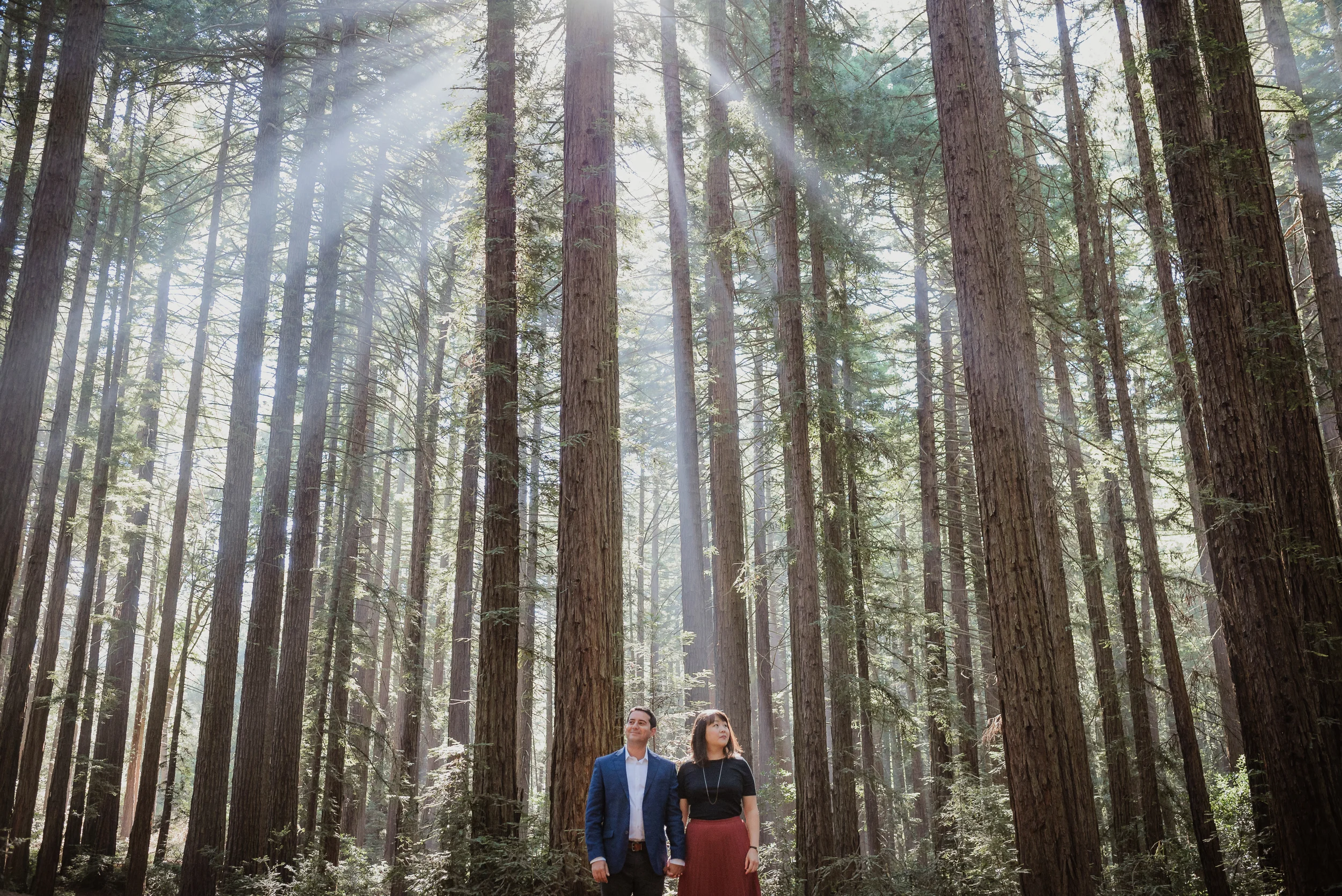 oakland-redwood-engagement-session-photographer-vivianchen-035.jpg