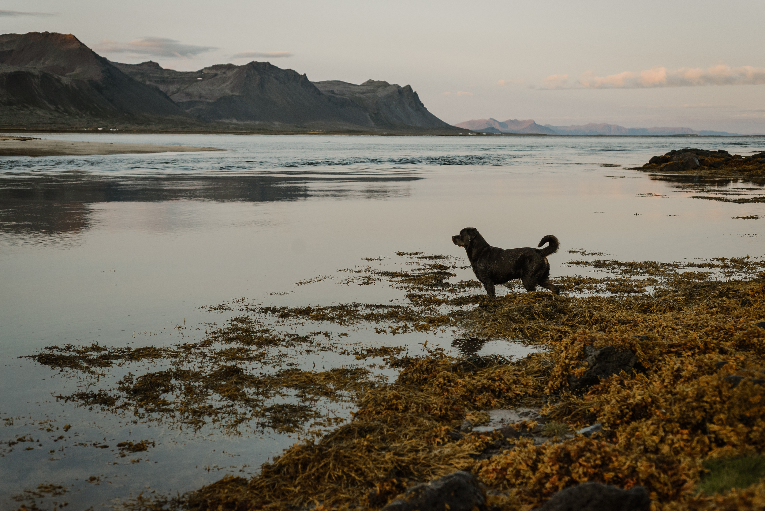 010-hotel-budir-iceland-destination-wedding-vivianchen-091.jpg