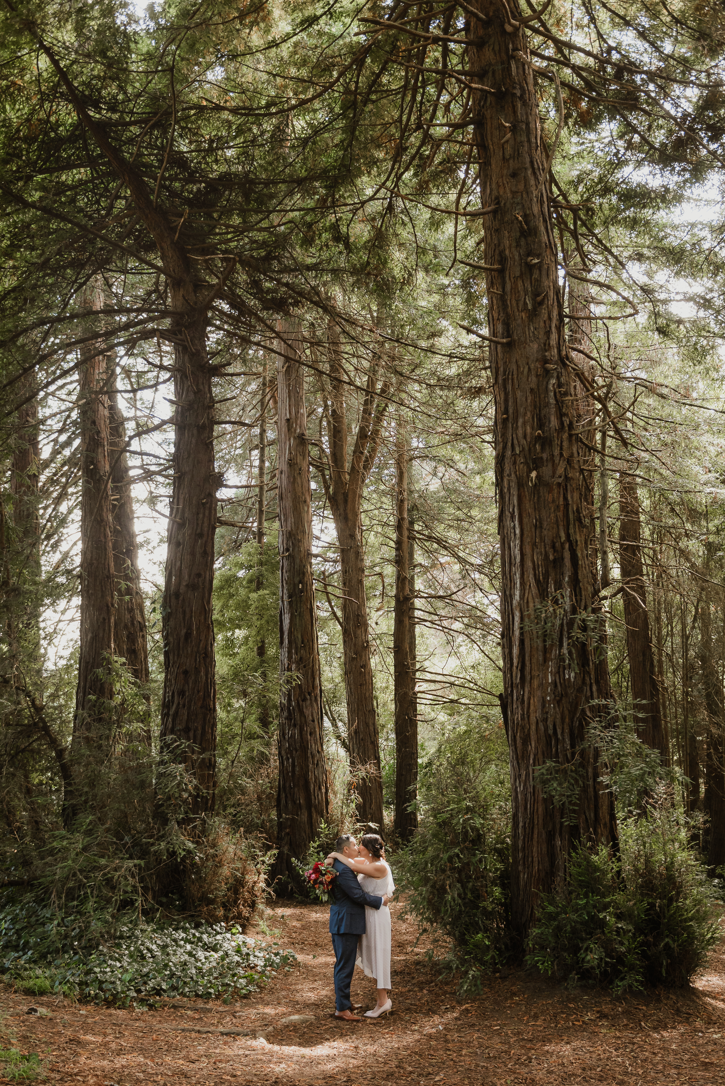 33-san-francisco-city-hall-redwood-grove-elopement-vivianchen-268.jpg