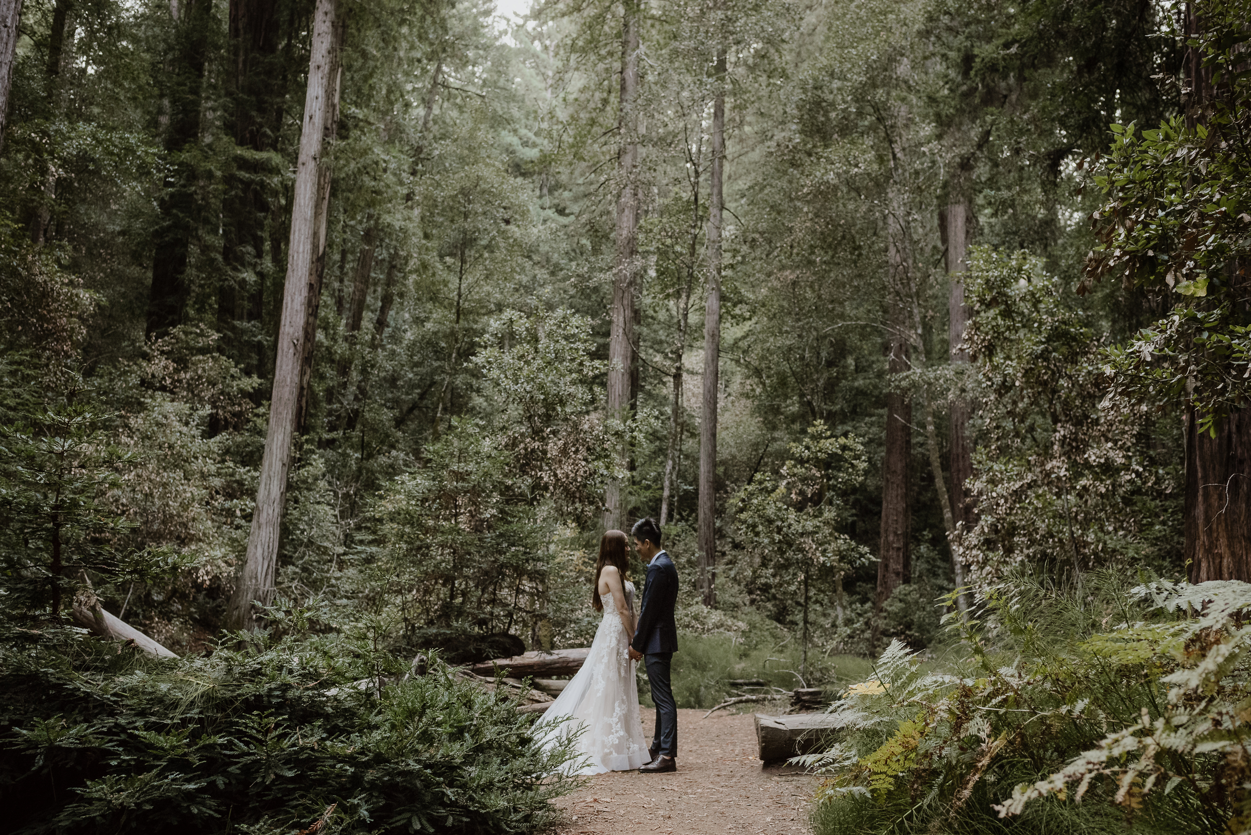 17-muir-woods-wedding-engagement-portrait-session-vivianchen-170.jpg