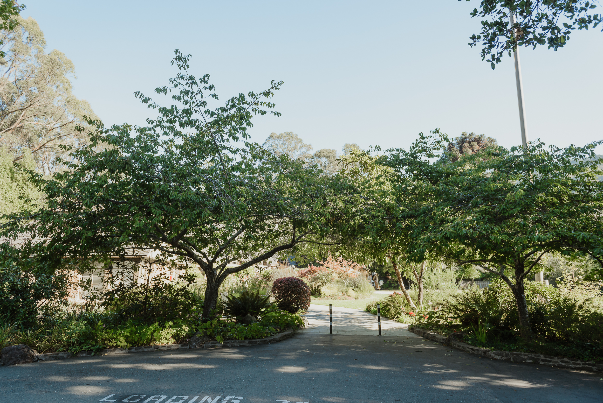 10-berkeley-tilden-park-brazilian-room-wedding-vivianchen-007.jpg