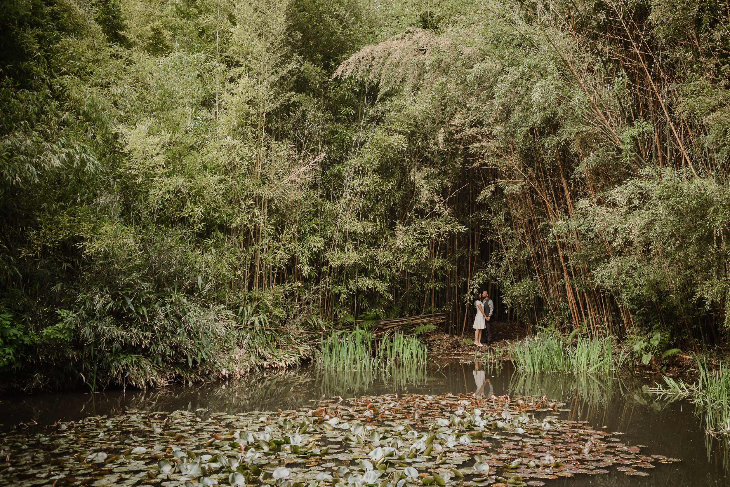 bamboo-pond-san-francisco-botanical-garden-engagement-shoot-vivianchen-115.jpg