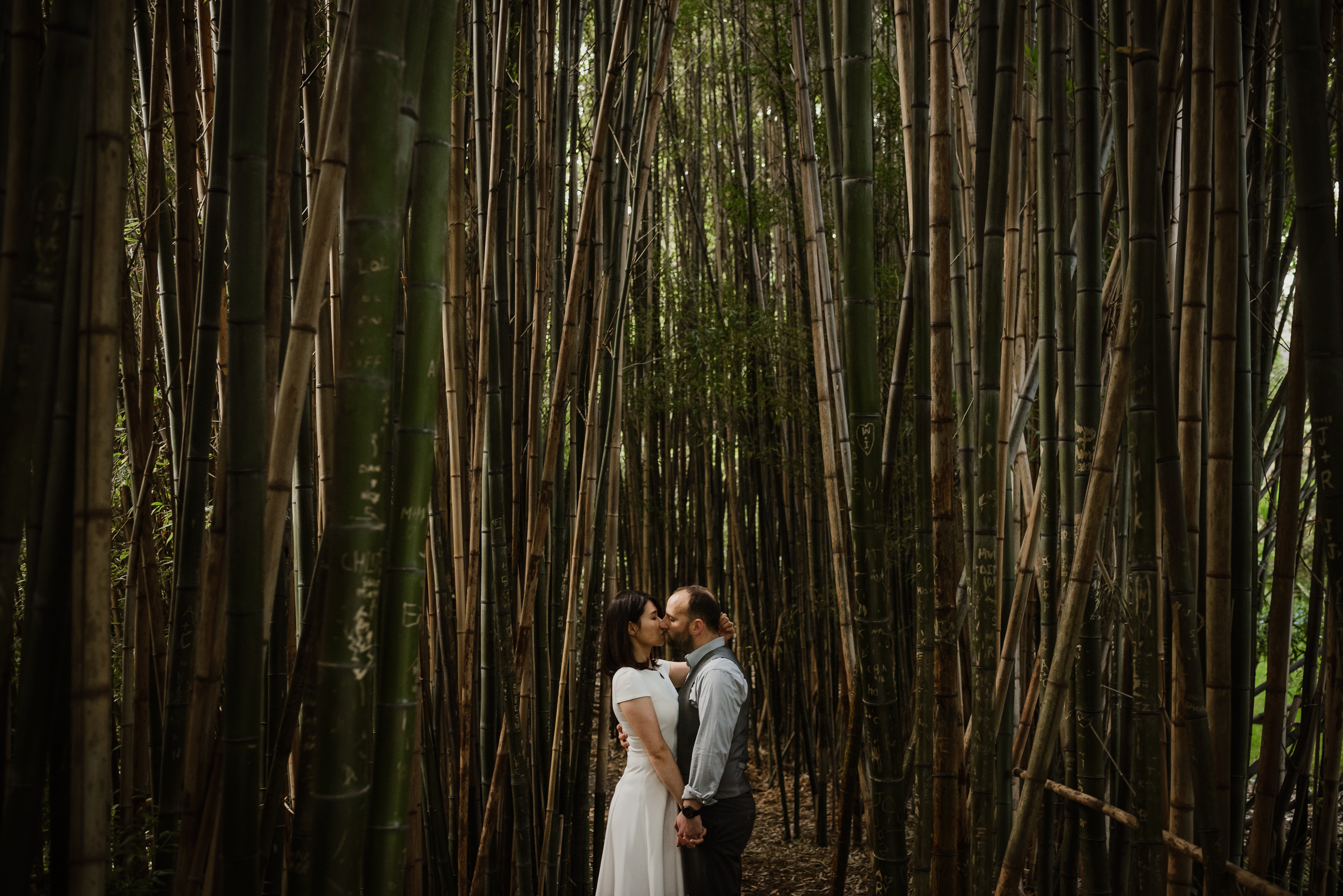 bamboo-pond-san-francisco-botanical-garden-engagement-shoot-vivianchen-125.jpg