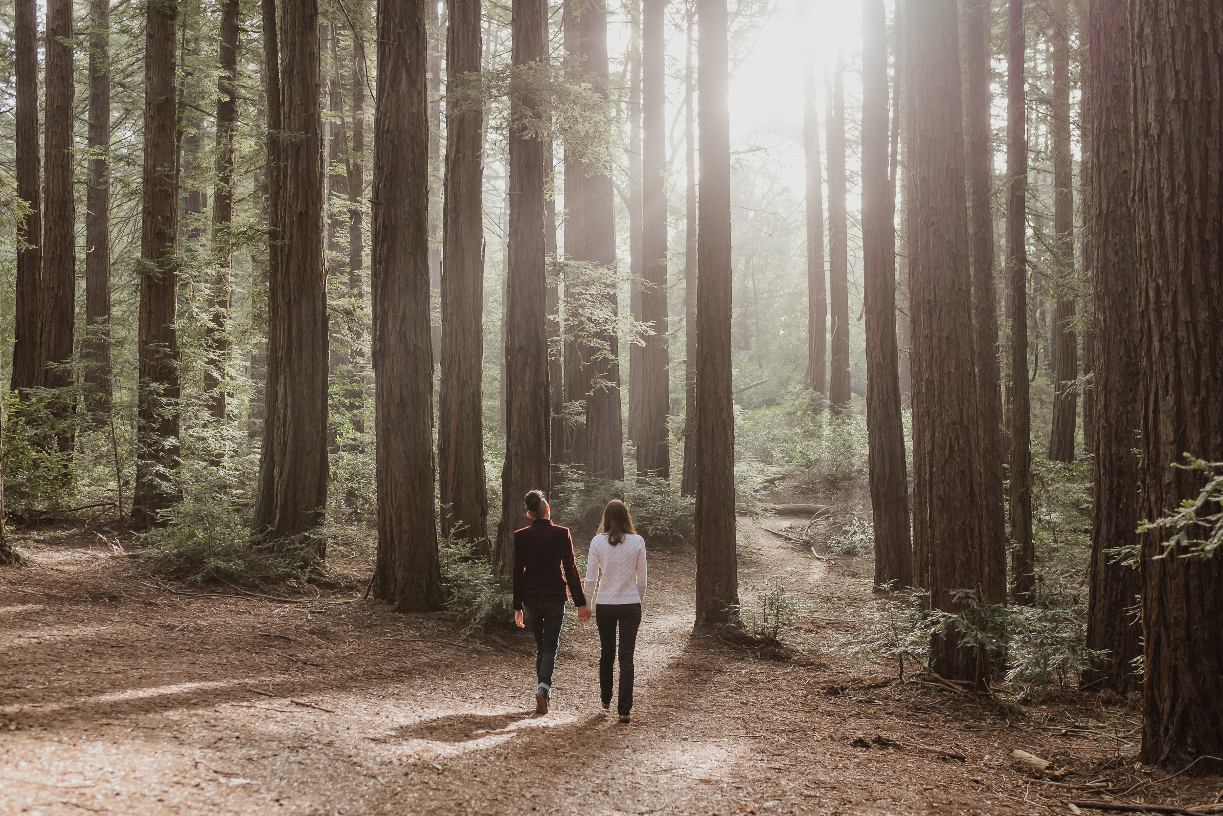 oakland-redwood-regional-park-engagement-session-vivianchen-003.jpg