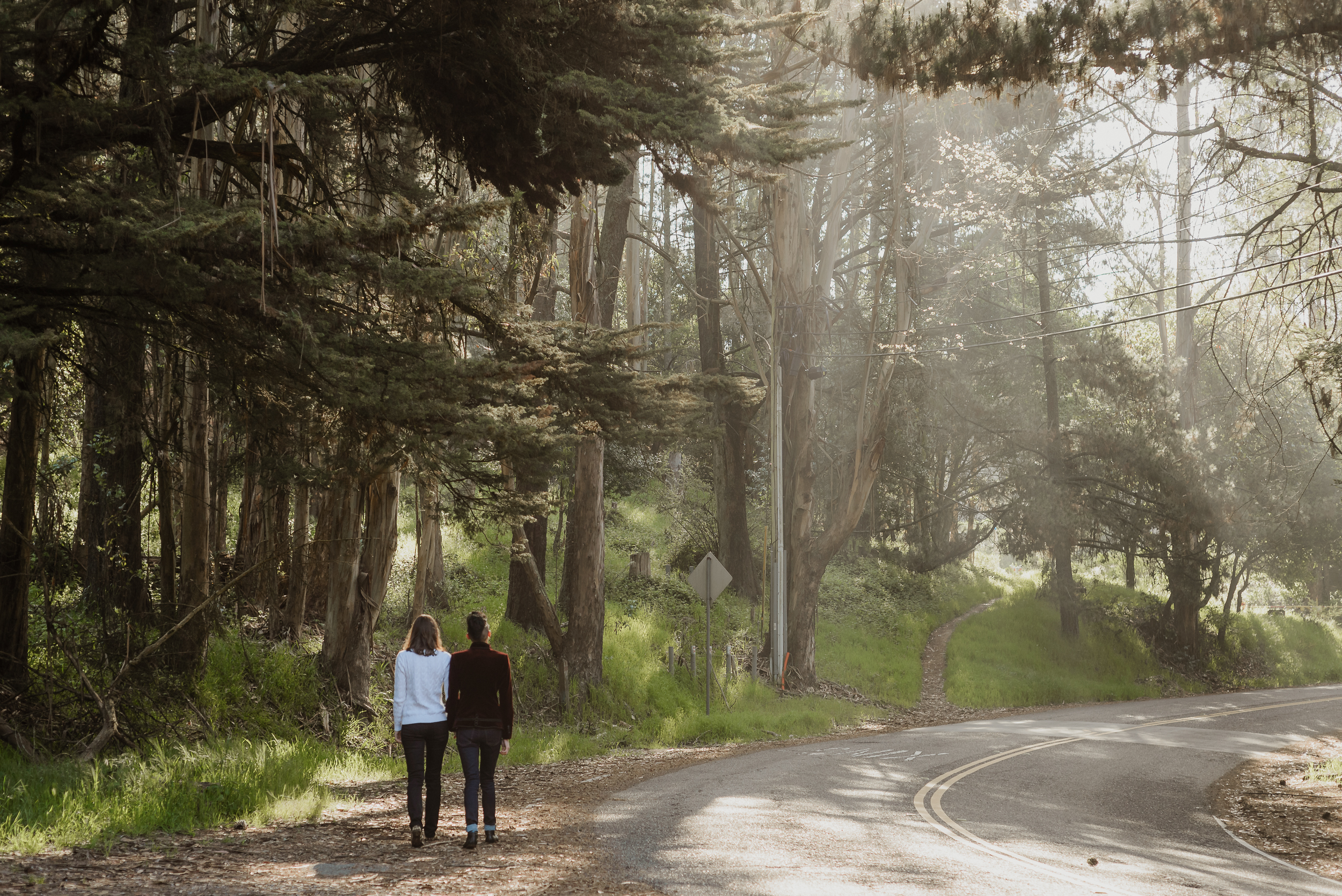 oakland-redwood-regional-park-engagement-session-vivianchen-141.jpg