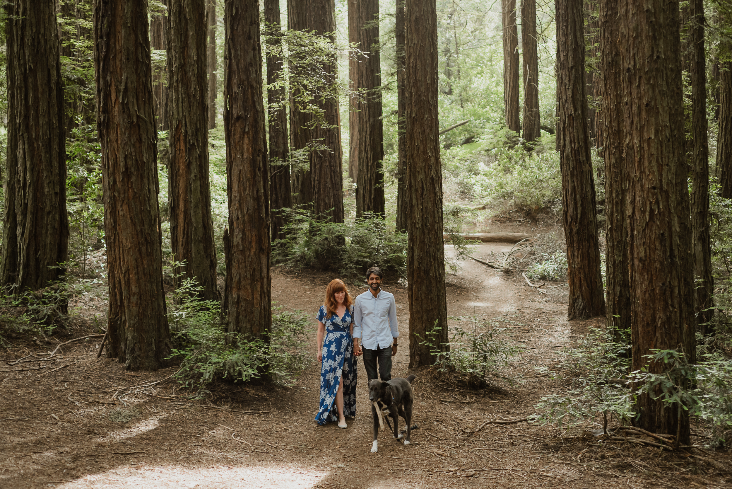 02-oakland-joaquin-miller-park-redwood-grove-engagement-session-vivianchen-003.jpg