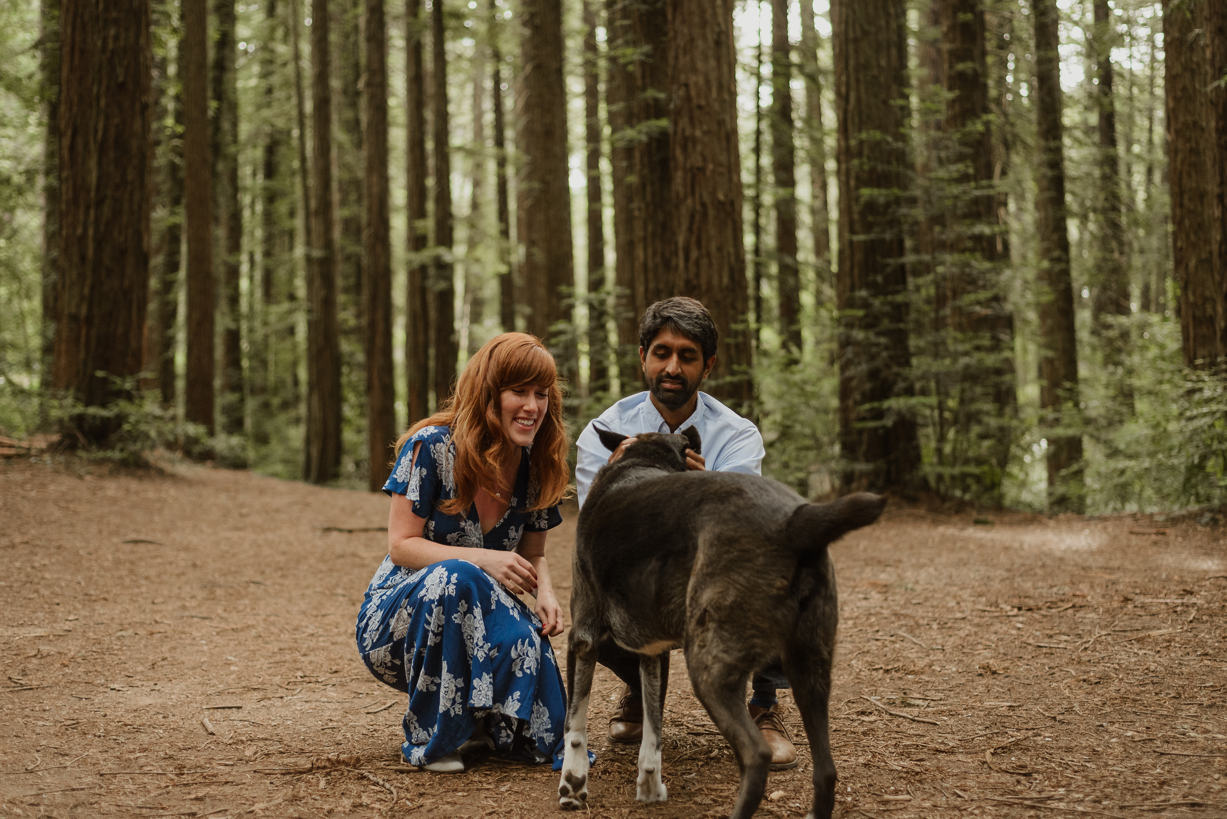 07-oakland-joaquin-miller-park-redwood-grove-engagement-session-vivianchen-058.jpg