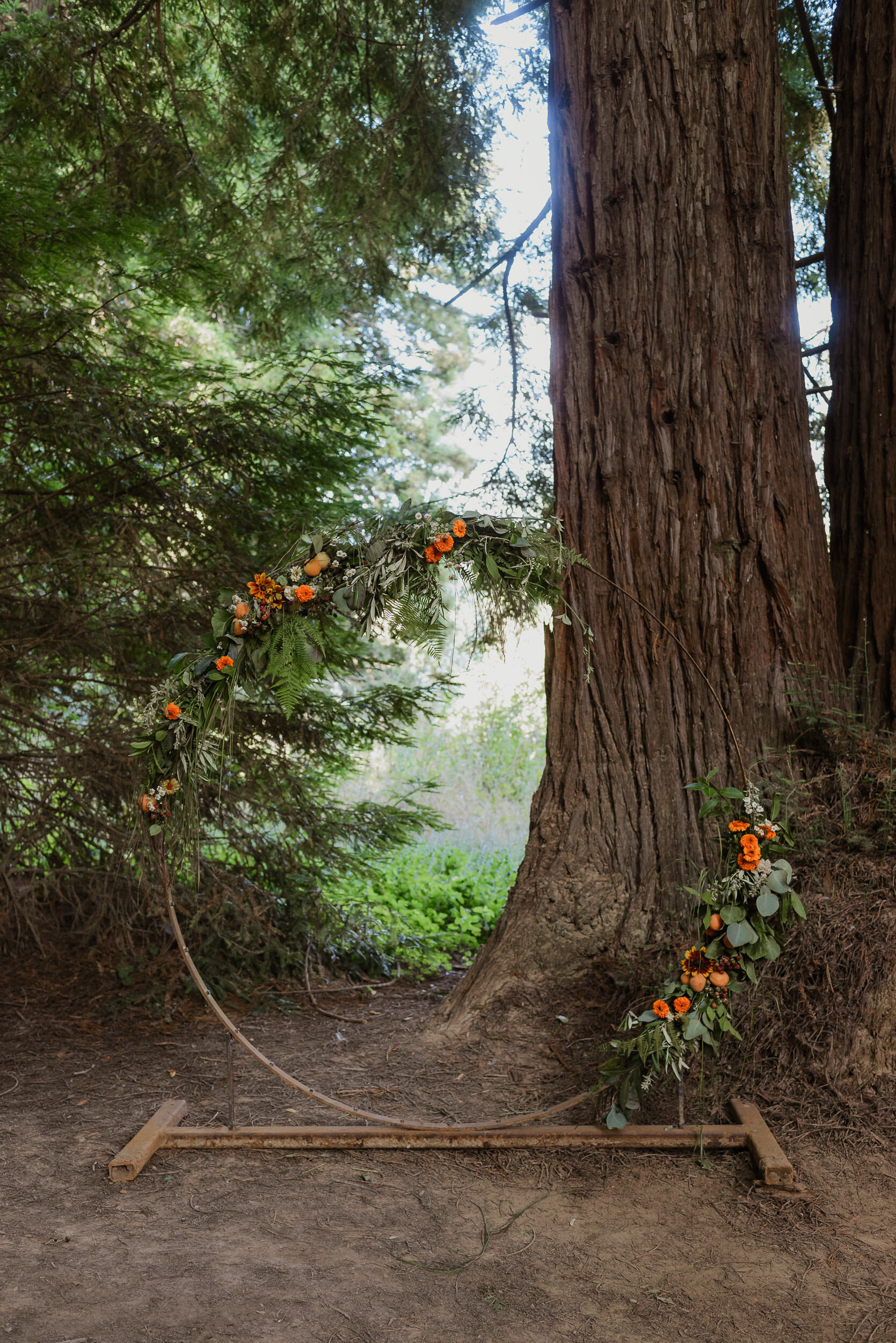 068-rustic-camp-wedding-oz-farm-point-arena-vivianchen-6223.jpg