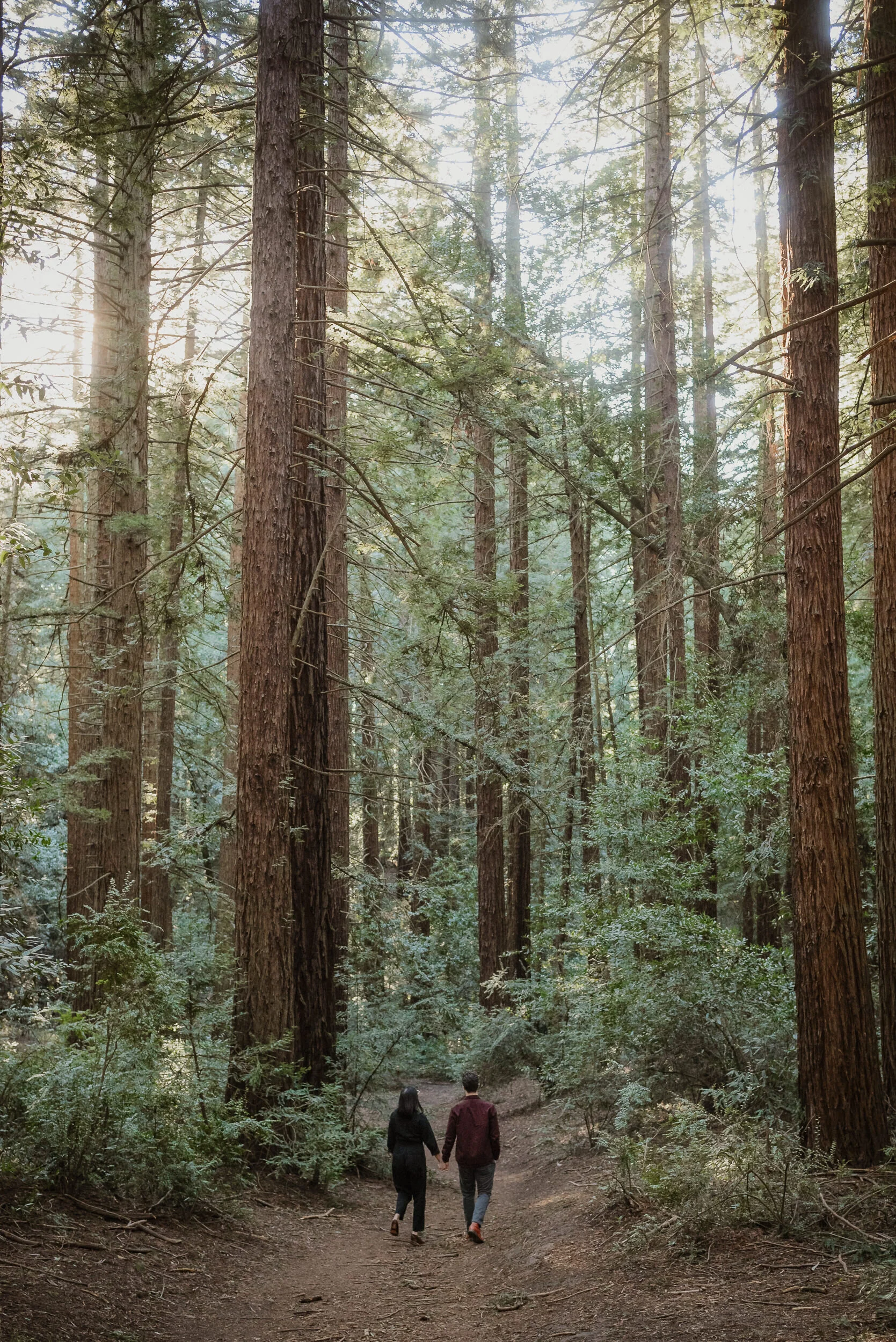 015-oakland-redwood-grove-engagement-session-vivianchen-1836.jpg