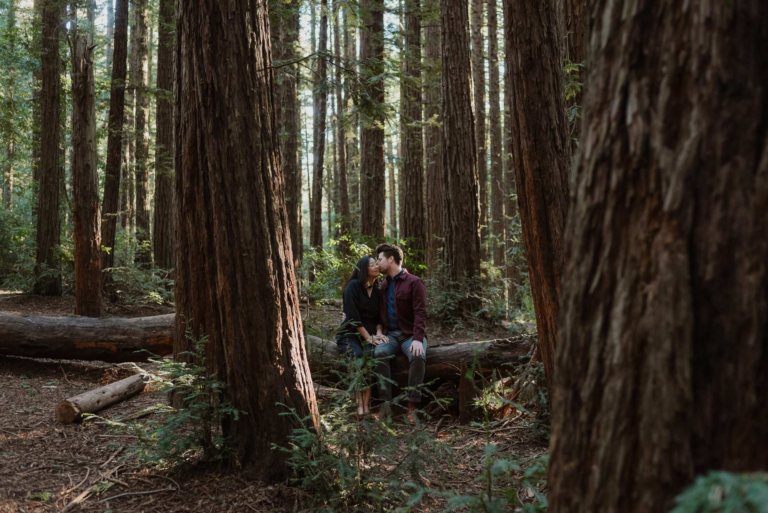 019-oakland-redwood-grove-engagement-session-vivianchen-1861.jpg