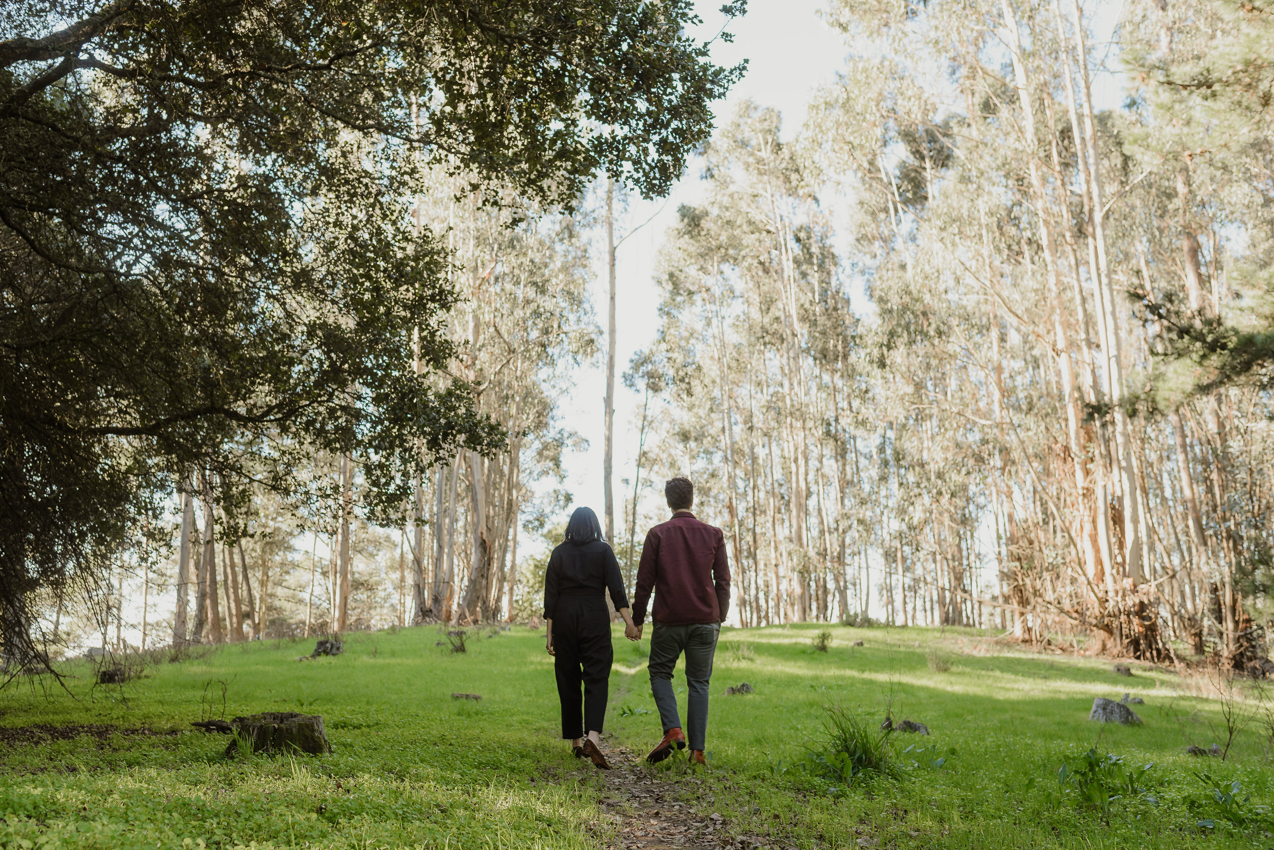 026-oakland-redwood-grove-engagement-session-vivianchen-1973.jpg