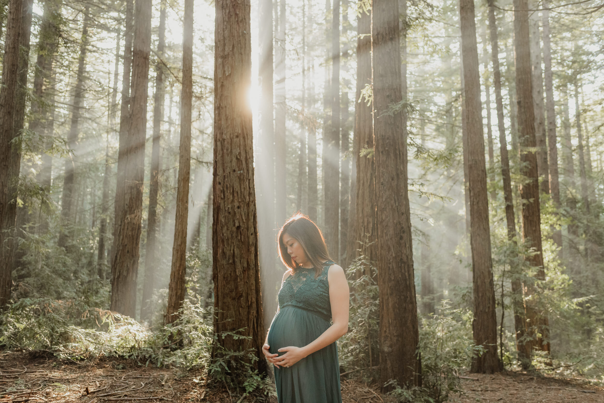 007-oakland-joaquin-miller-park-redwood-maternity-session-vivianchen-1645.jpg