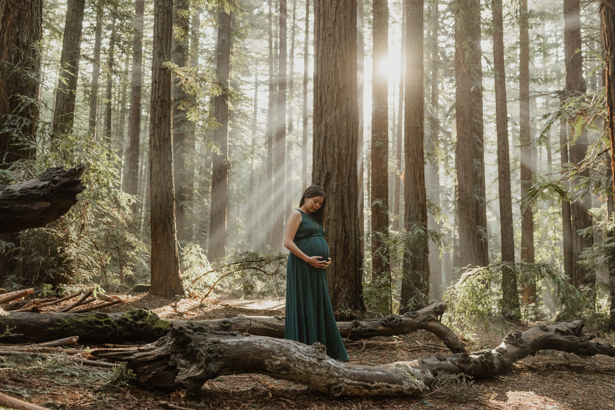 013-oakland-joaquin-miller-park-redwood-maternity-session-vivianchen-1714.jpg