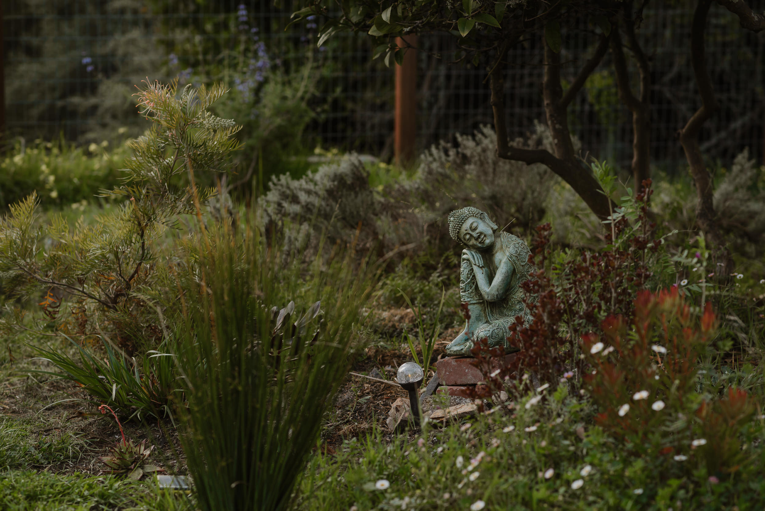 012-east-bay-el-cerrito-covid-backyard-elopement-vivianchen-2847.jpg