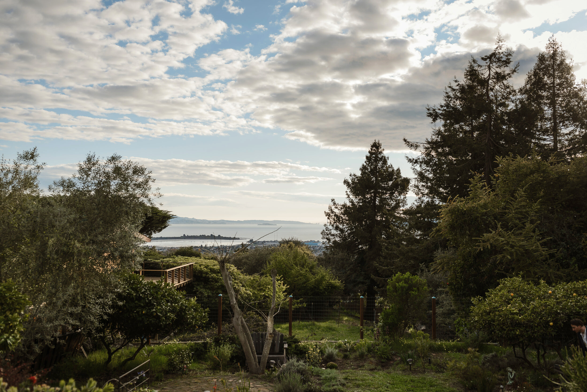 001-east-bay-el-cerrito-covid-backyard-elopement-vivianchen-4615.jpg