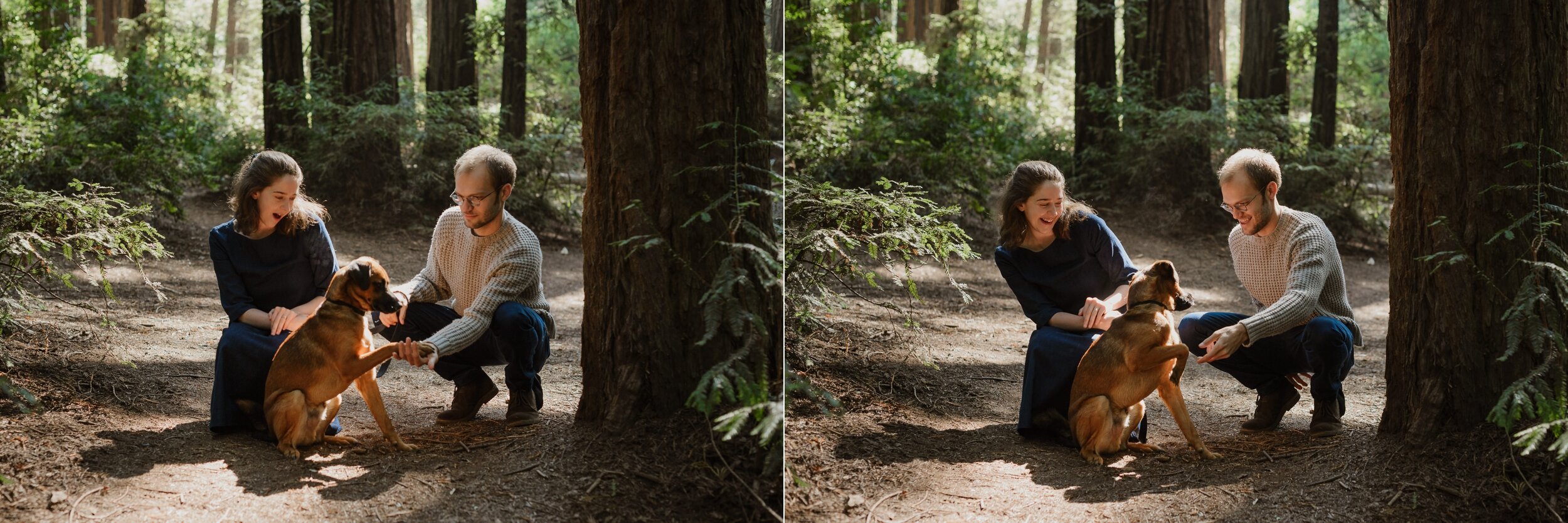 004-oakland-joaquin-miller-park-redwood-engagement-photographer-vivianchen-9473_WEB.jpg