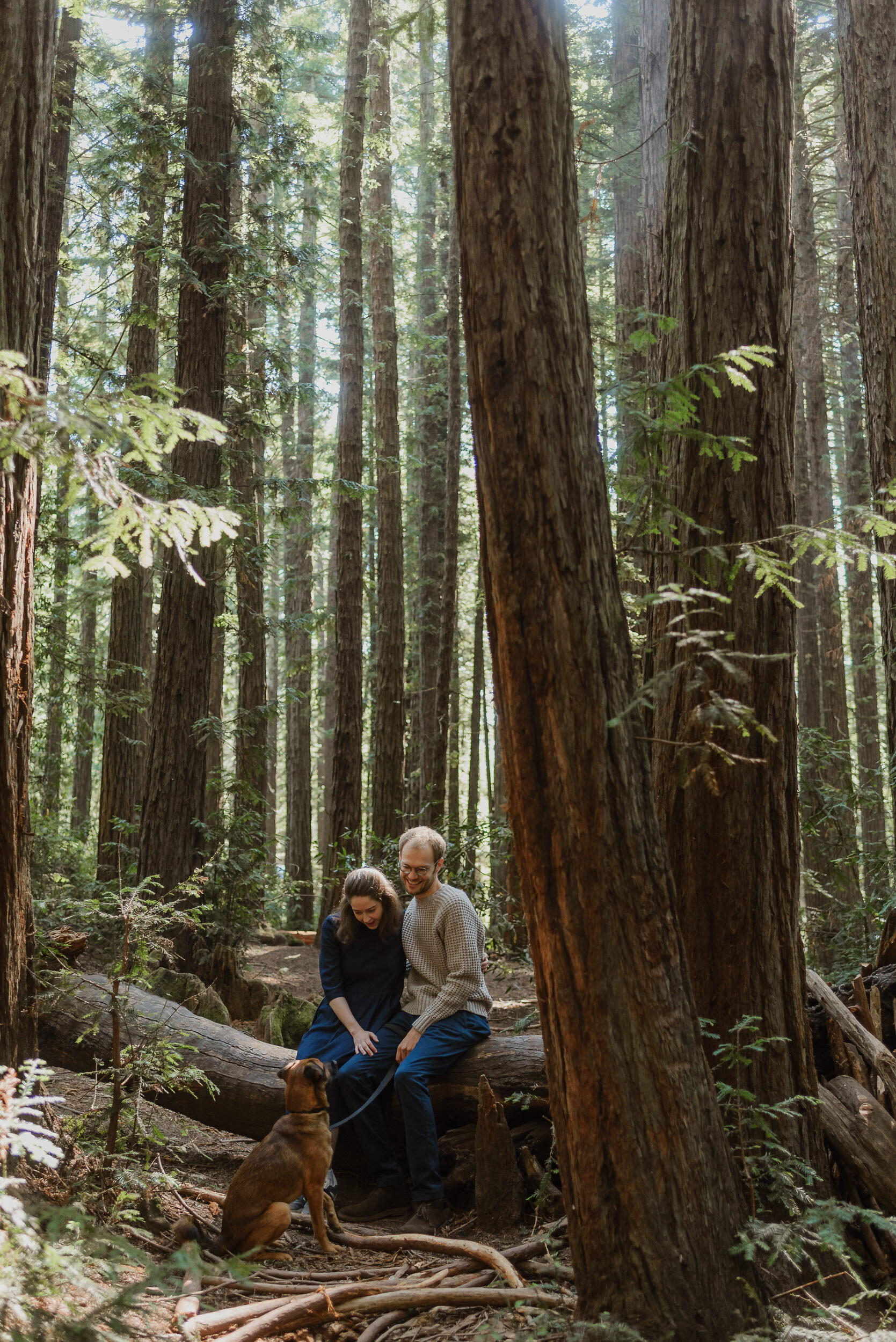 010-oakland-joaquin-miller-park-redwood-engagement-photographer-vivianchen-6449.jpg