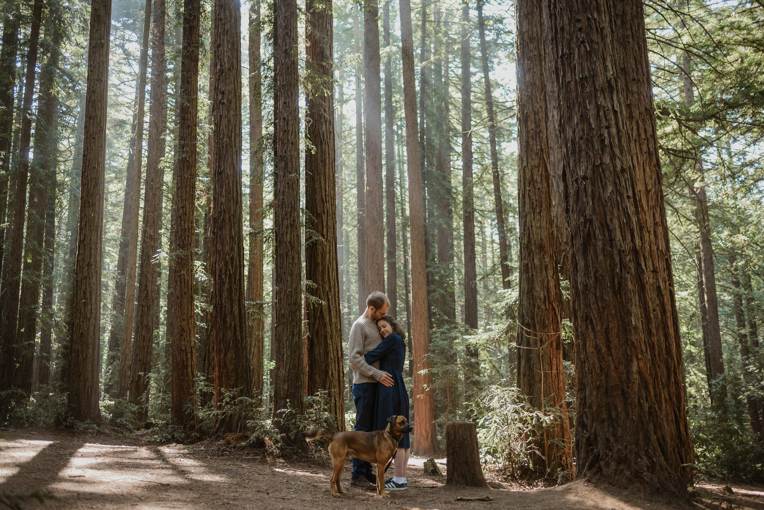 012-oakland-joaquin-miller-park-redwood-engagement-photographer-vivianchen-6469.jpg