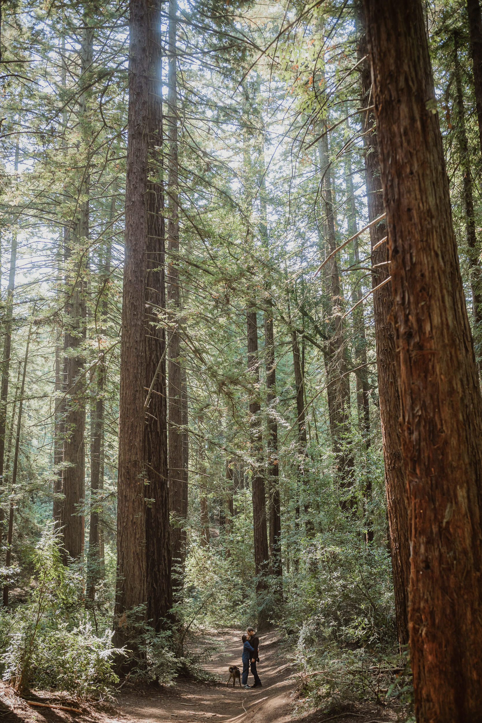 015-oakland-joaquin-miller-park-redwood-engagement-photographer-vivianchen-6617.jpg