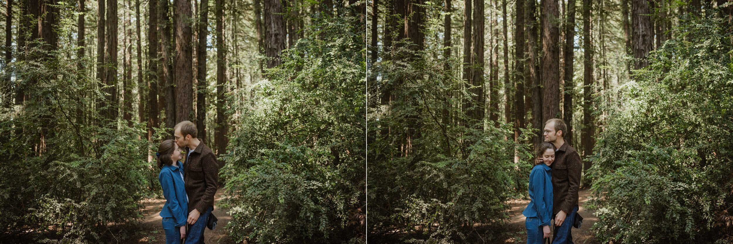 020-oakland-joaquin-miller-park-redwood-engagement-photographer-vivianchen-6646_WEB.jpg