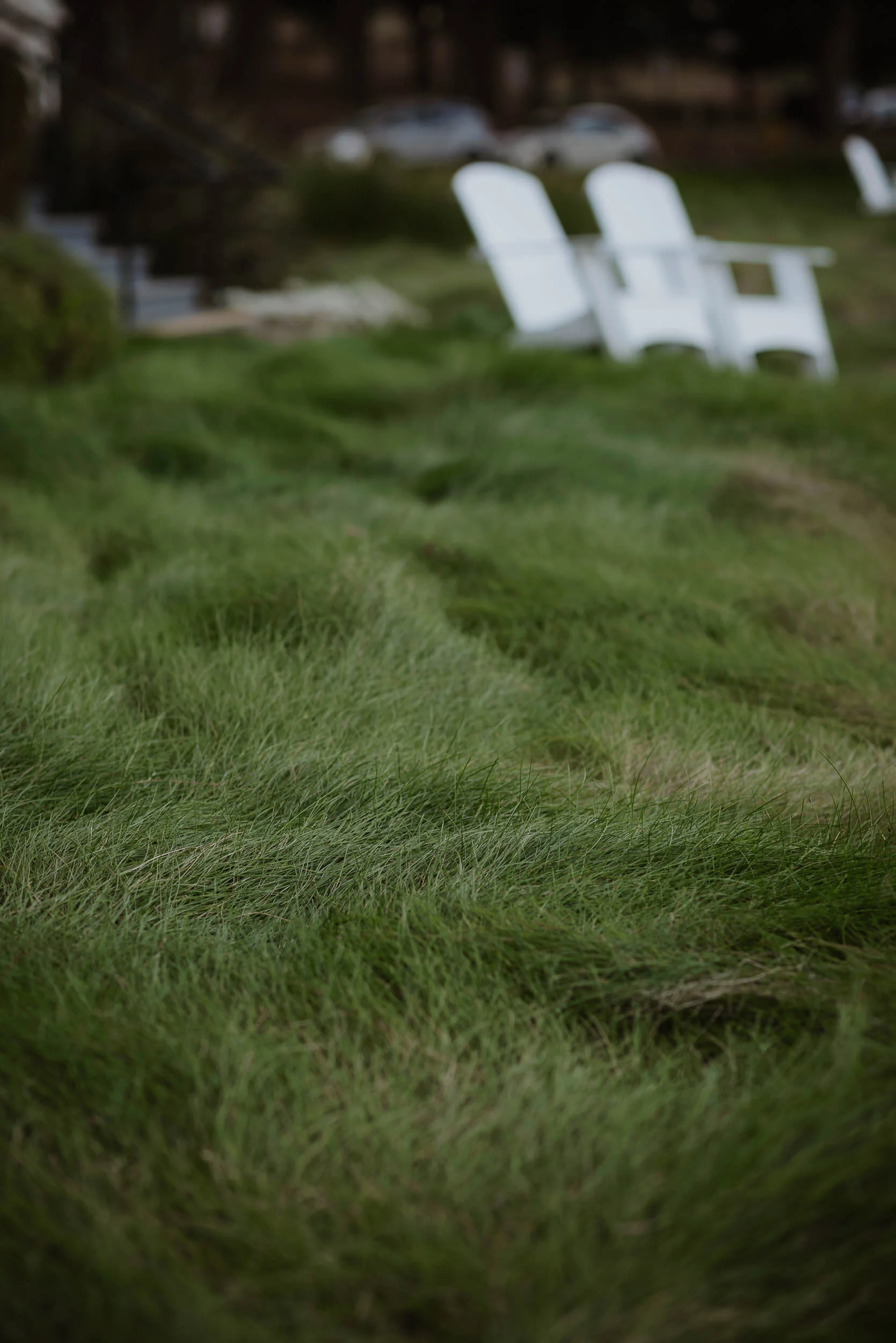 002-covid-sausalito-cavallo-point-lodge-minimony-vivianchen-3403.jpg