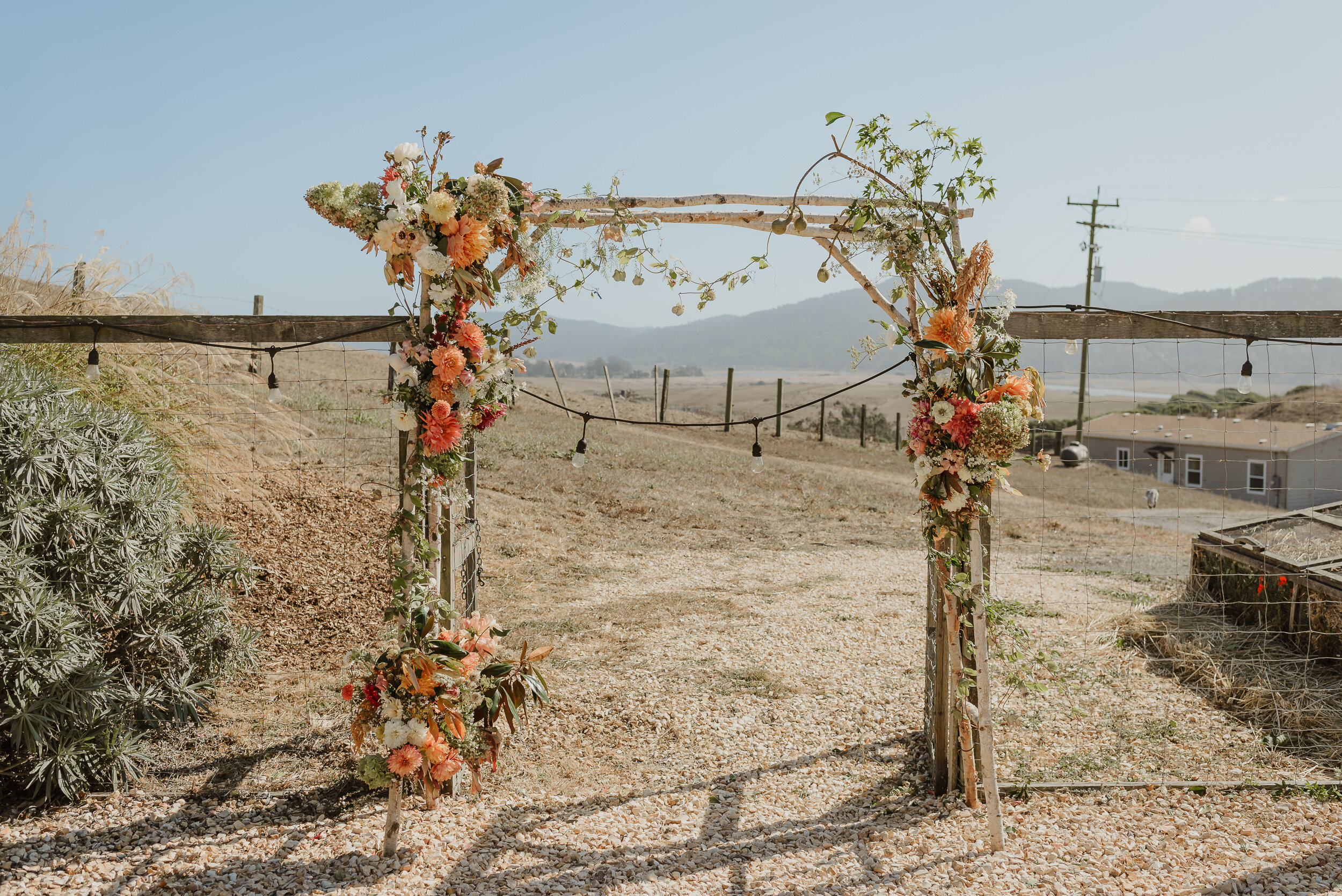 050-marin-point-reyes-farmstead-cheese-co-wedding-vivianchen-0763.jpg