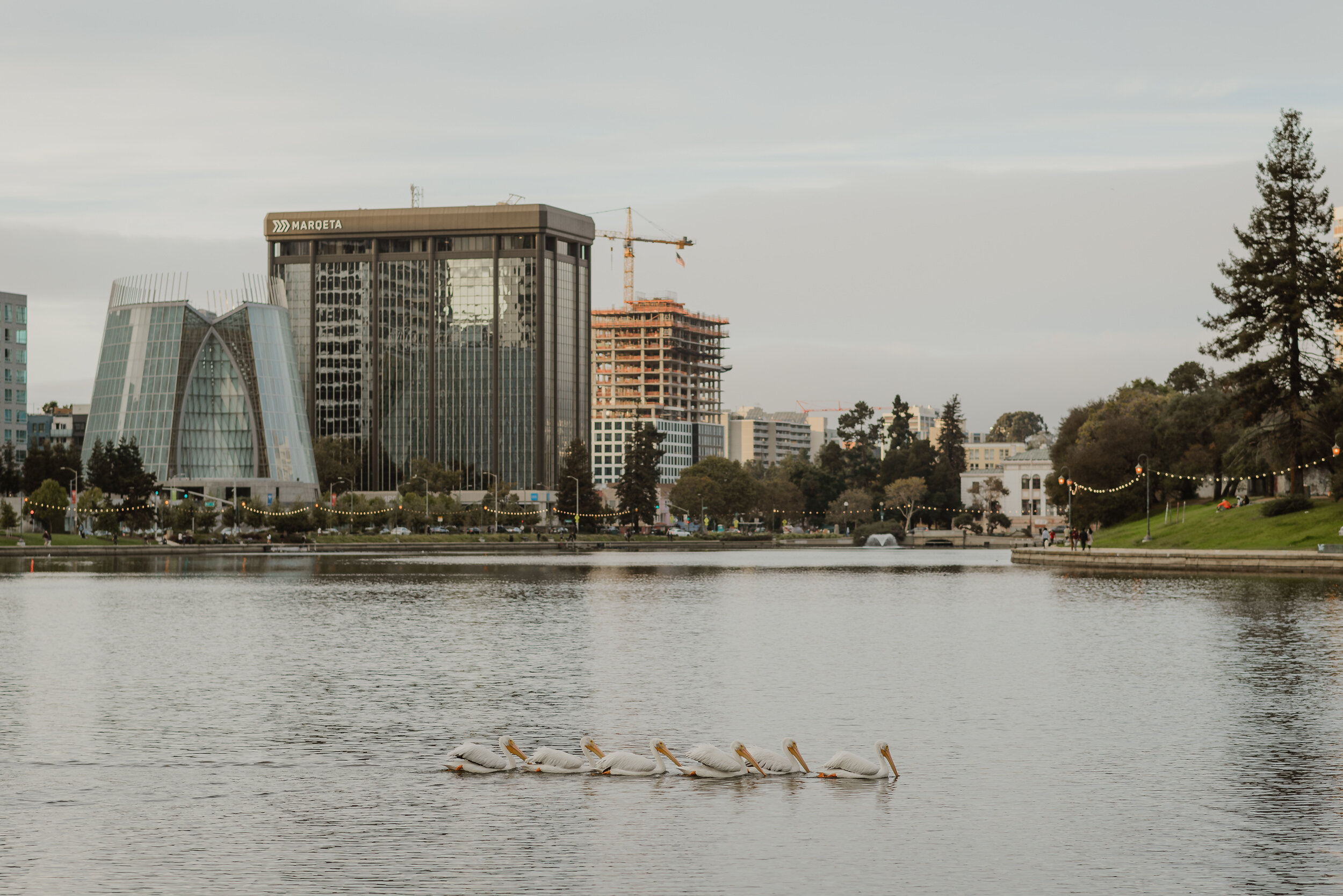 028-oakland-lake-merritt-minimony-vivianchen-165.jpg