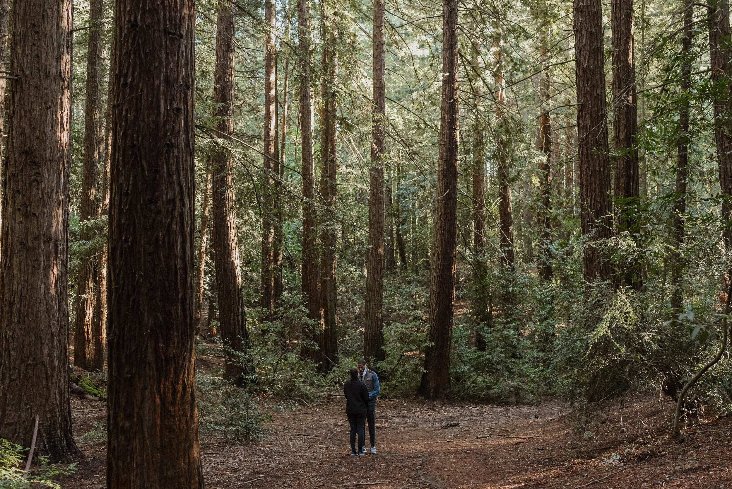 004-oakland-joaquin-miller-park-redwood-grove-proposal-vivianchen-9402.jpg