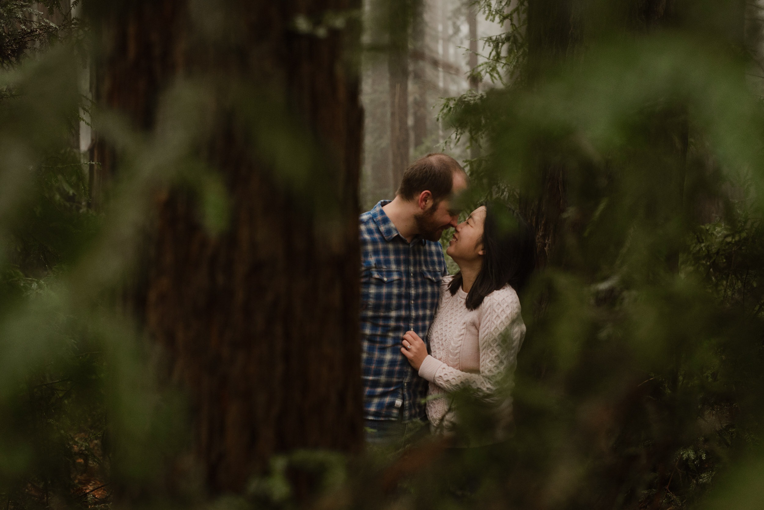 015-foggy-redwood-grove-oakland-joaquin-miller-park-engagement-vivianchen-8431.jpg