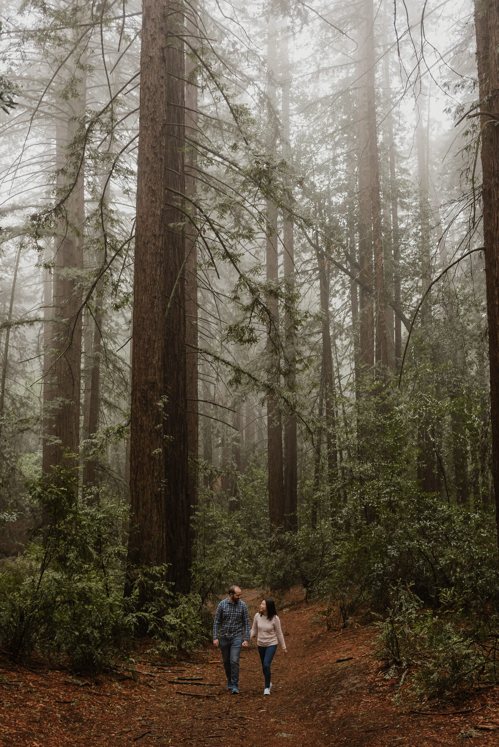 009-foggy-redwood-grove-oakland-joaquin-miller-park-engagement-vivianchen-8796.jpg