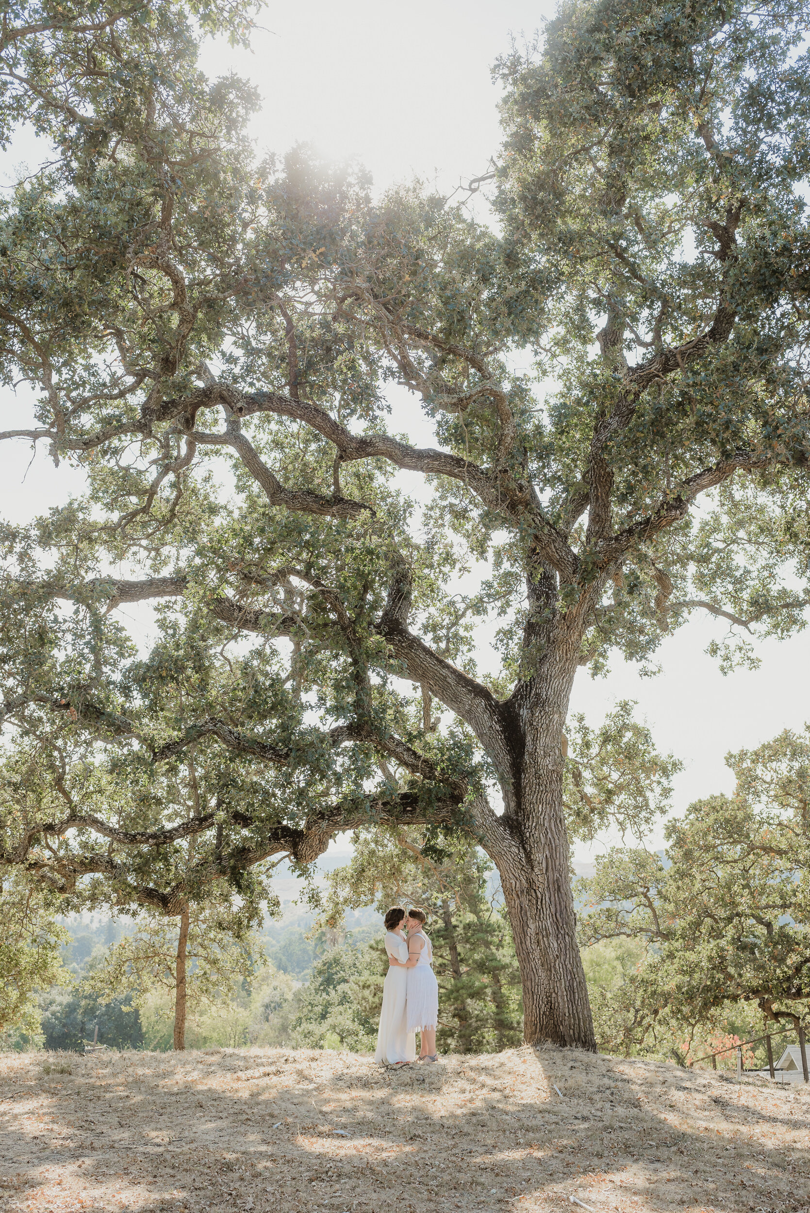 026-east-bay-walnut-creek-backyard-wedding-vivianchen-160.jpg