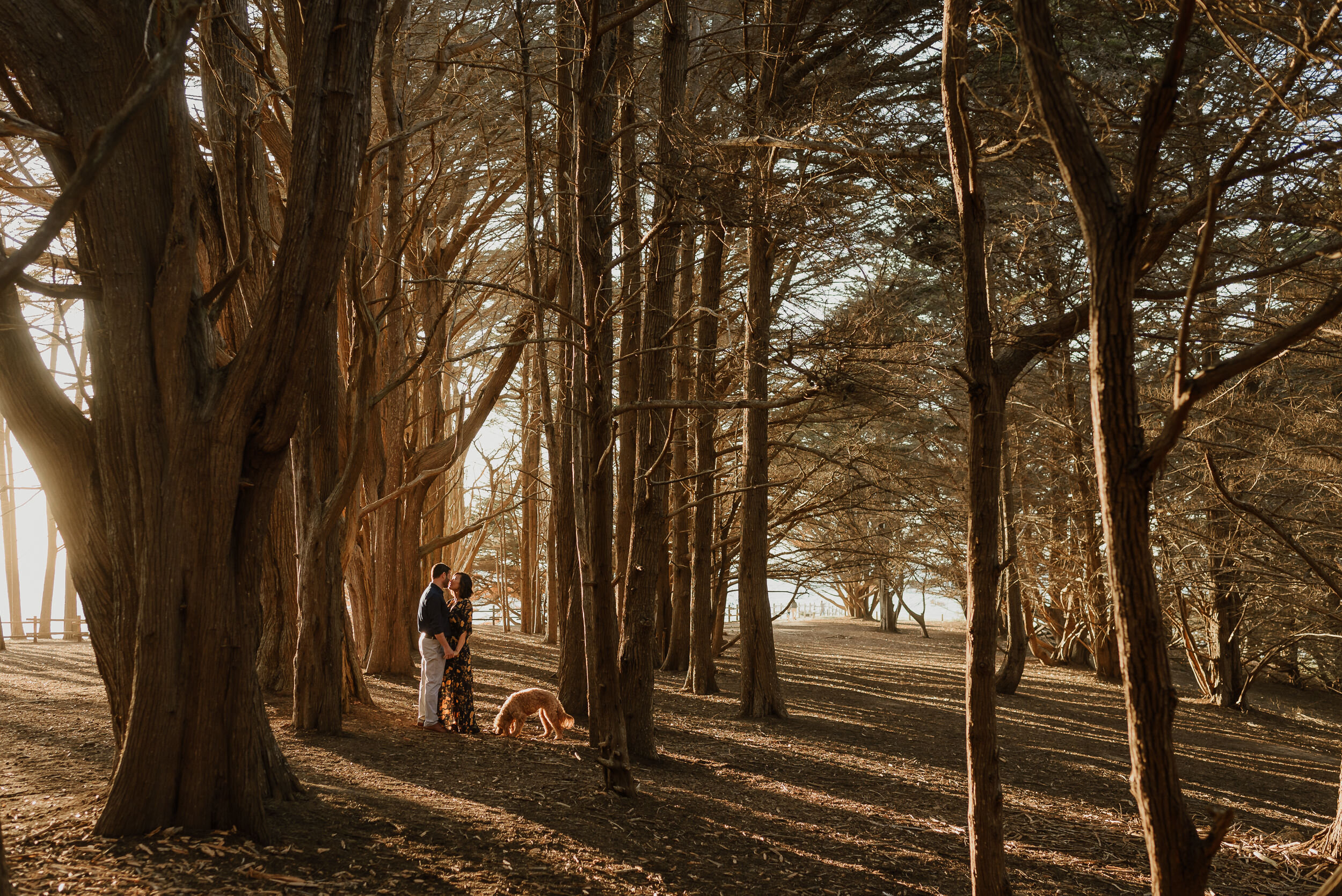 014-moss-beach-fitzgerald-marine-reserve-engagement-session-vivianchen-057.jpg