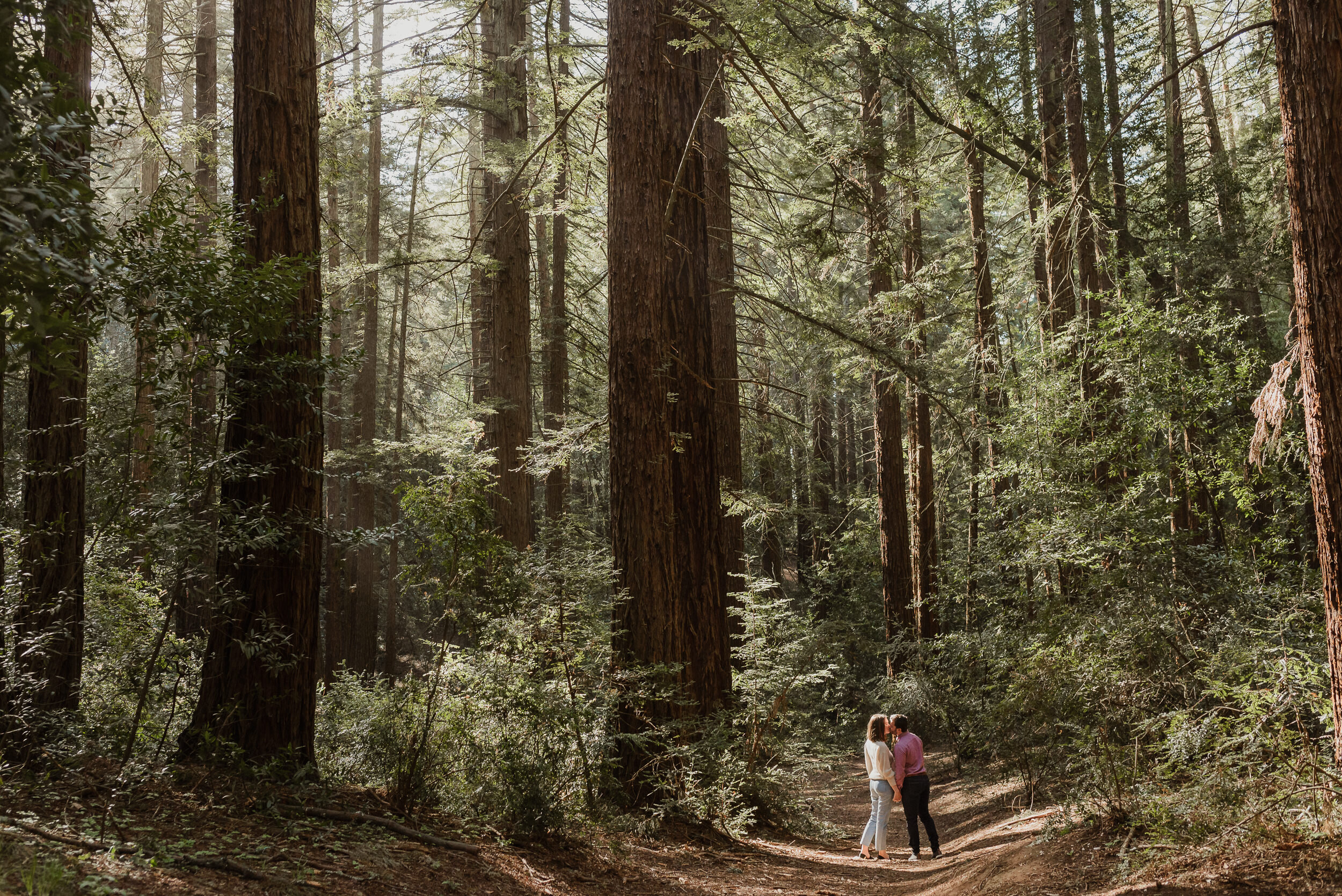 007-east-bay-oakland-redwood-grove-engagement-session-california-vivianchen-37.jpg