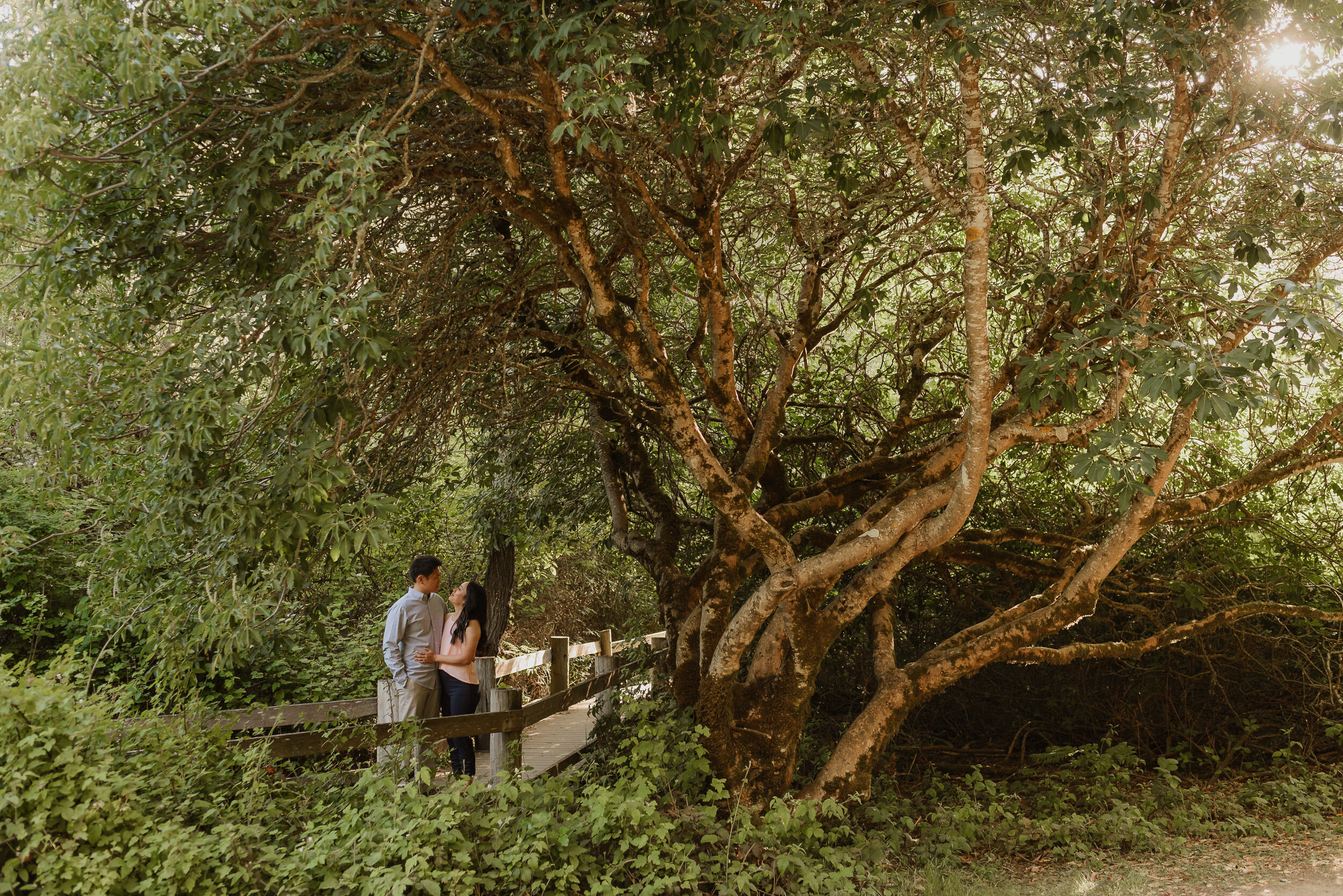 005-springtime-tilden-park-engagement-session-berkeley-vivianchen-038.jpg