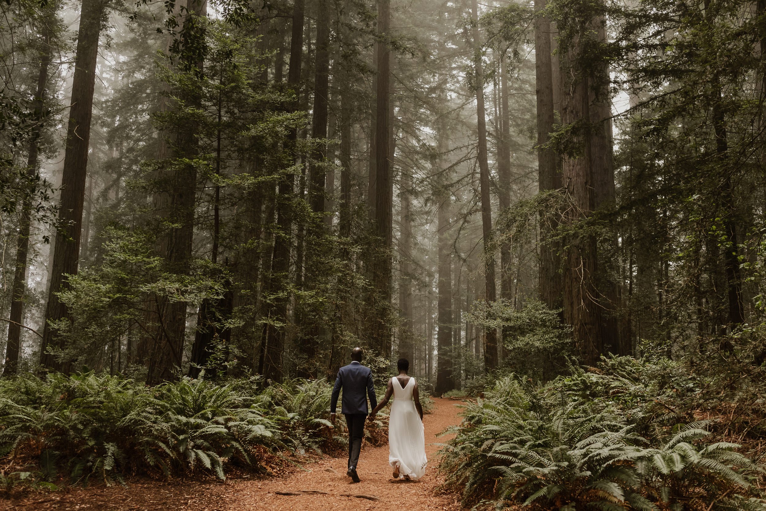 060-foggy-redwood-grove-occidental-backyard-wedding-vivianchen-380.jpg