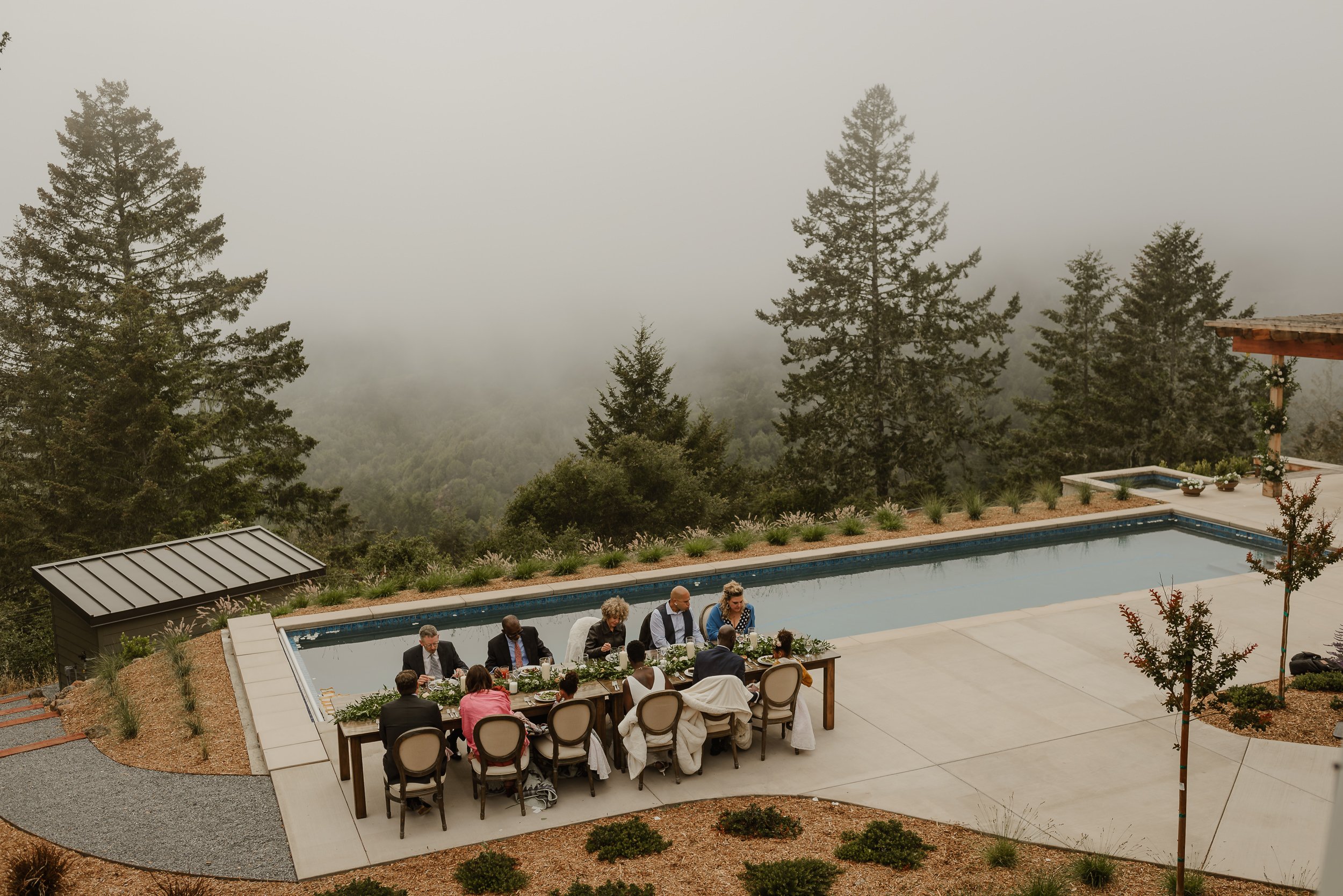 095-foggy-redwood-grove-occidental-backyard-wedding-vivianchen-453.jpg