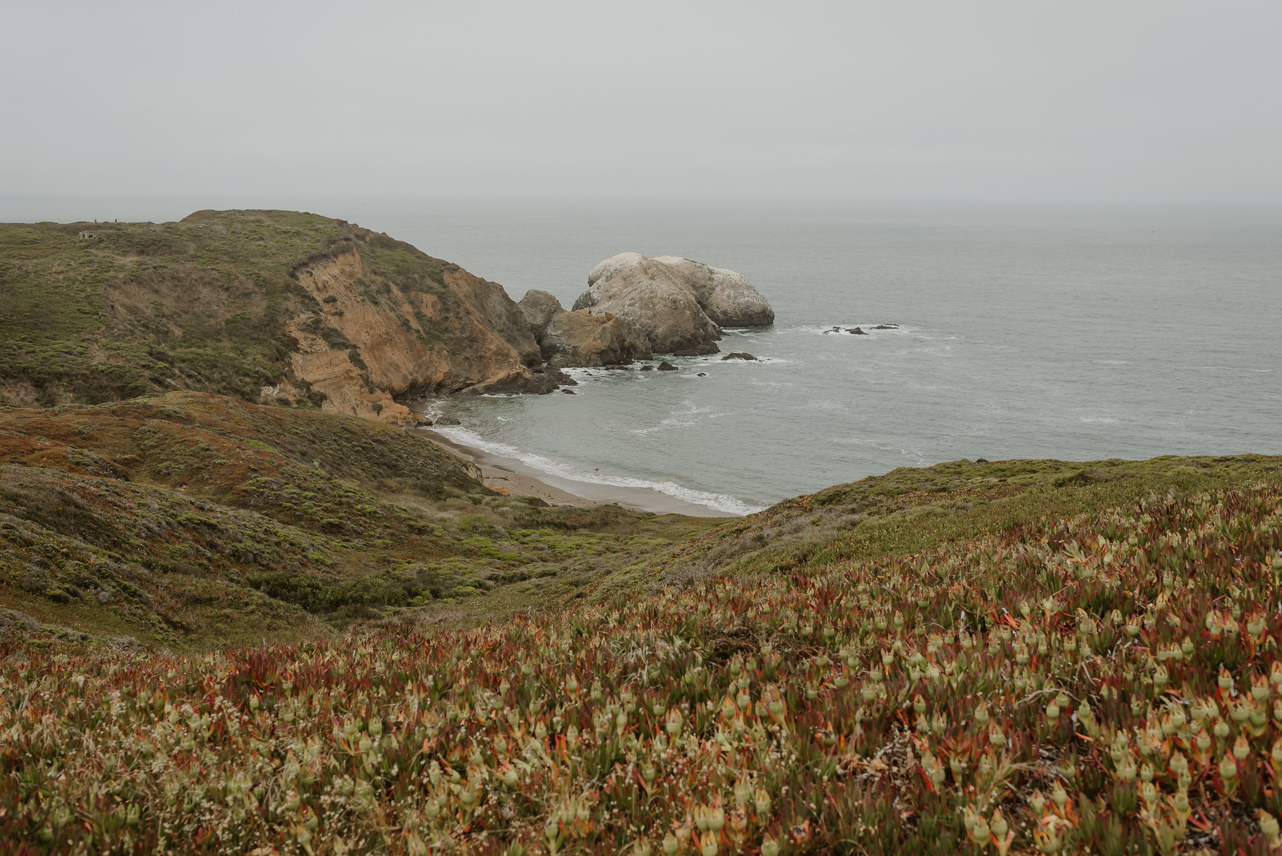 001-marin-headlands-foreign-cinema-san-francisco-elopement-vivianchen-002.jpg