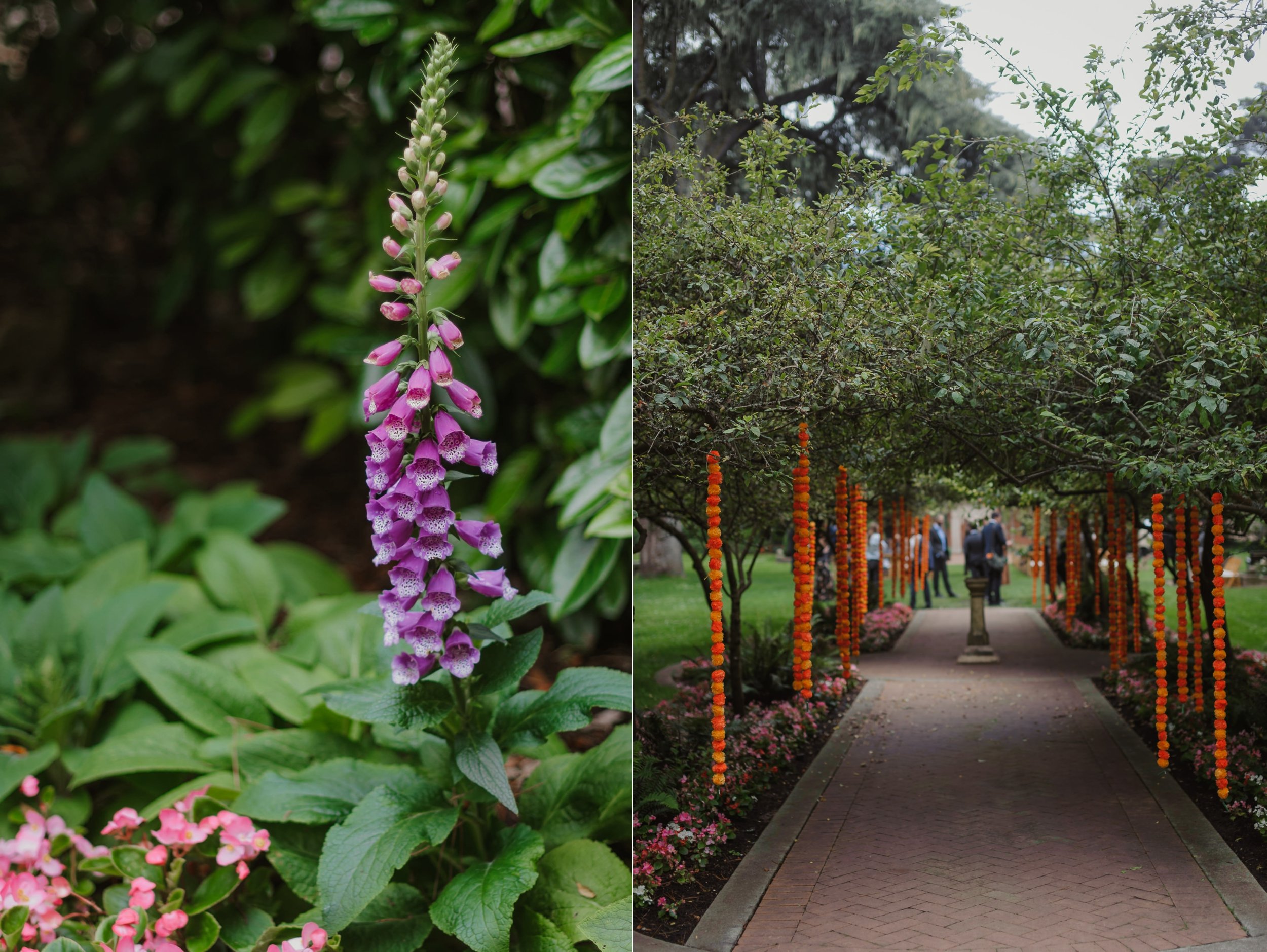 018-golden-gate-park-shakespeare-garden-san-francisco-botanical-garden-wedding-erinpradoVCP-018_WEB.jpg