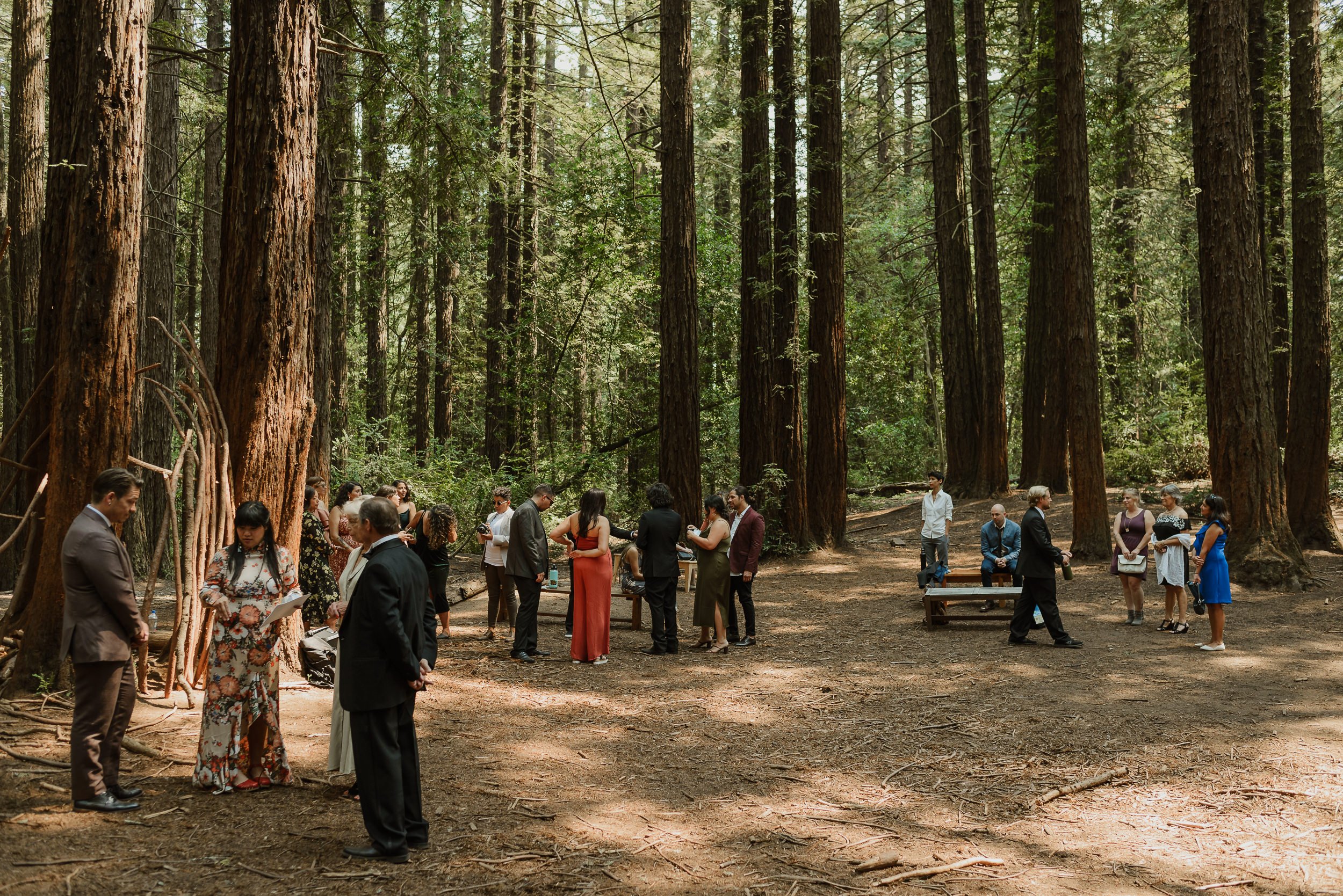 005-joaquin-miller-park-redwood-grove-good-neighbor-wedding-oakland-vivianchen-012.jpg