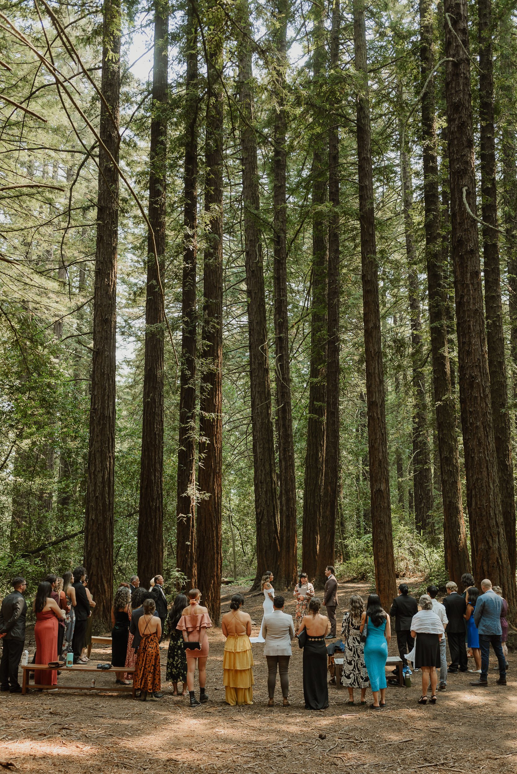 017-joaquin-miller-park-redwood-grove-good-neighbor-wedding-oakland-vivianchen-045.jpg