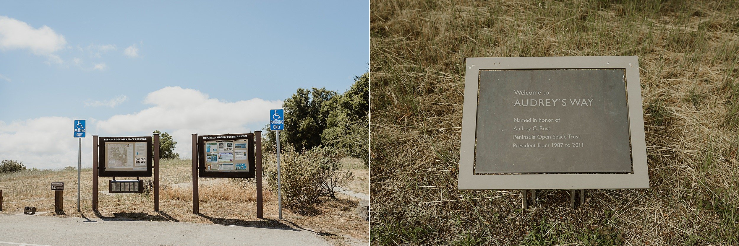 001-intimate-russian-ridge-preserve-wedding-vivianchen-001_WEB.jpg