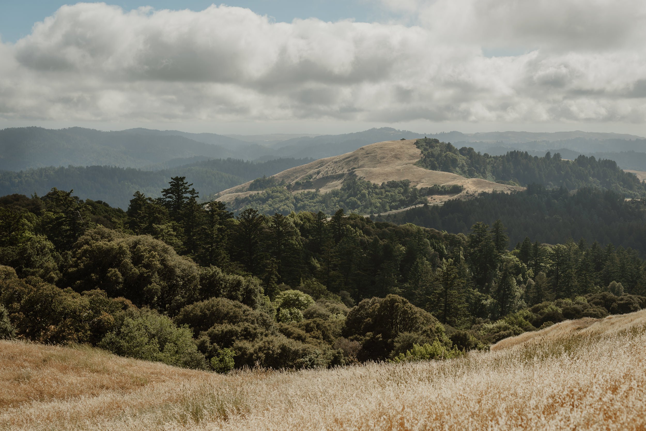 010-intimate-russian-ridge-preserve-wedding-vivianchen-011.jpg