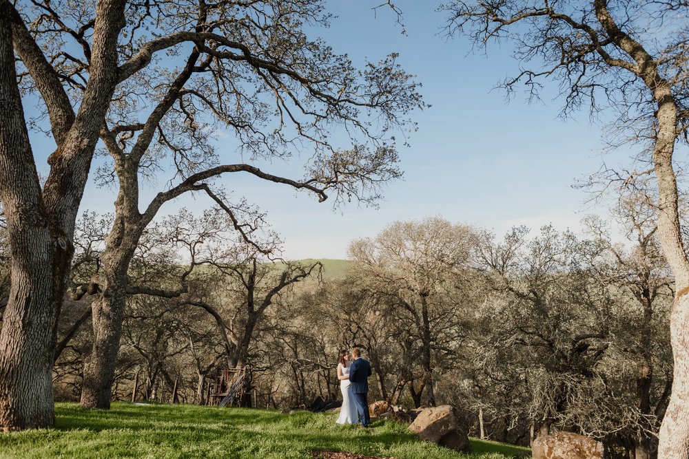 050intimate-backyard-wedding-martinez-california-erinpradoVCP-216.jpg