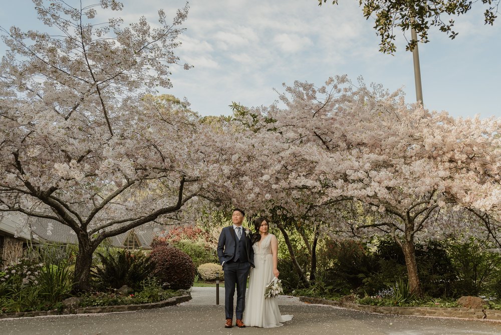 057cherry-blossom-springtime-brazilian-room-berkeley-wedding-vivianchen-370.jpg