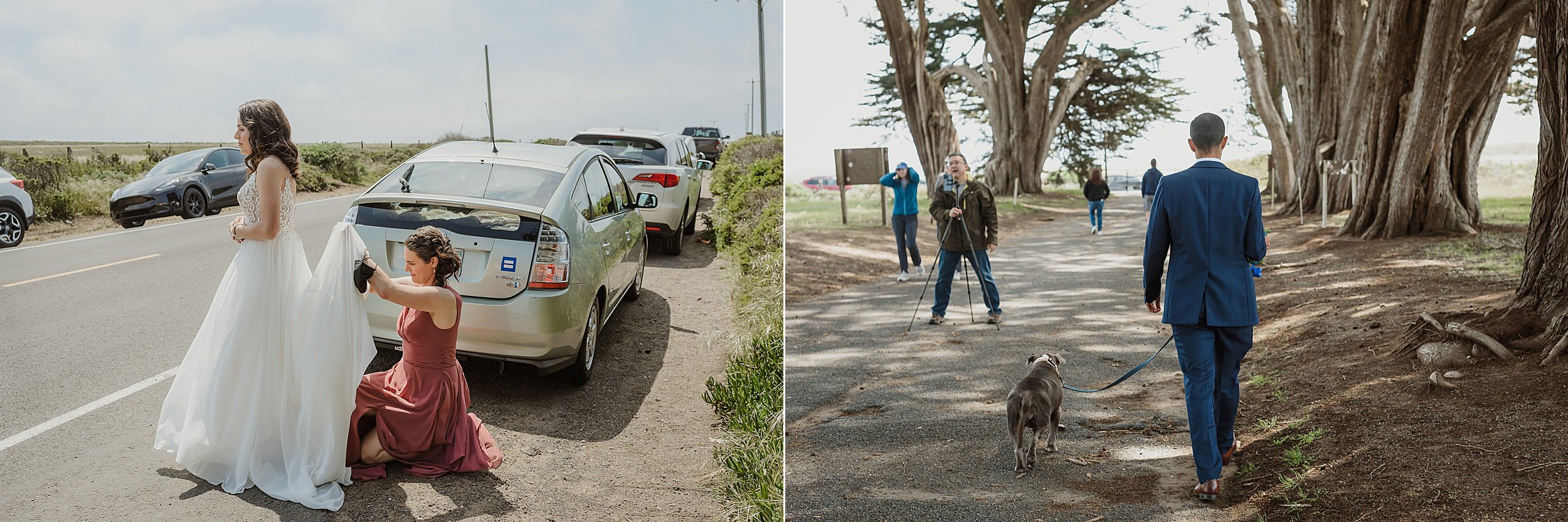 03-point-reyes-national-seashore-intimate-wedding-vivianchen-016_WEB.jpg