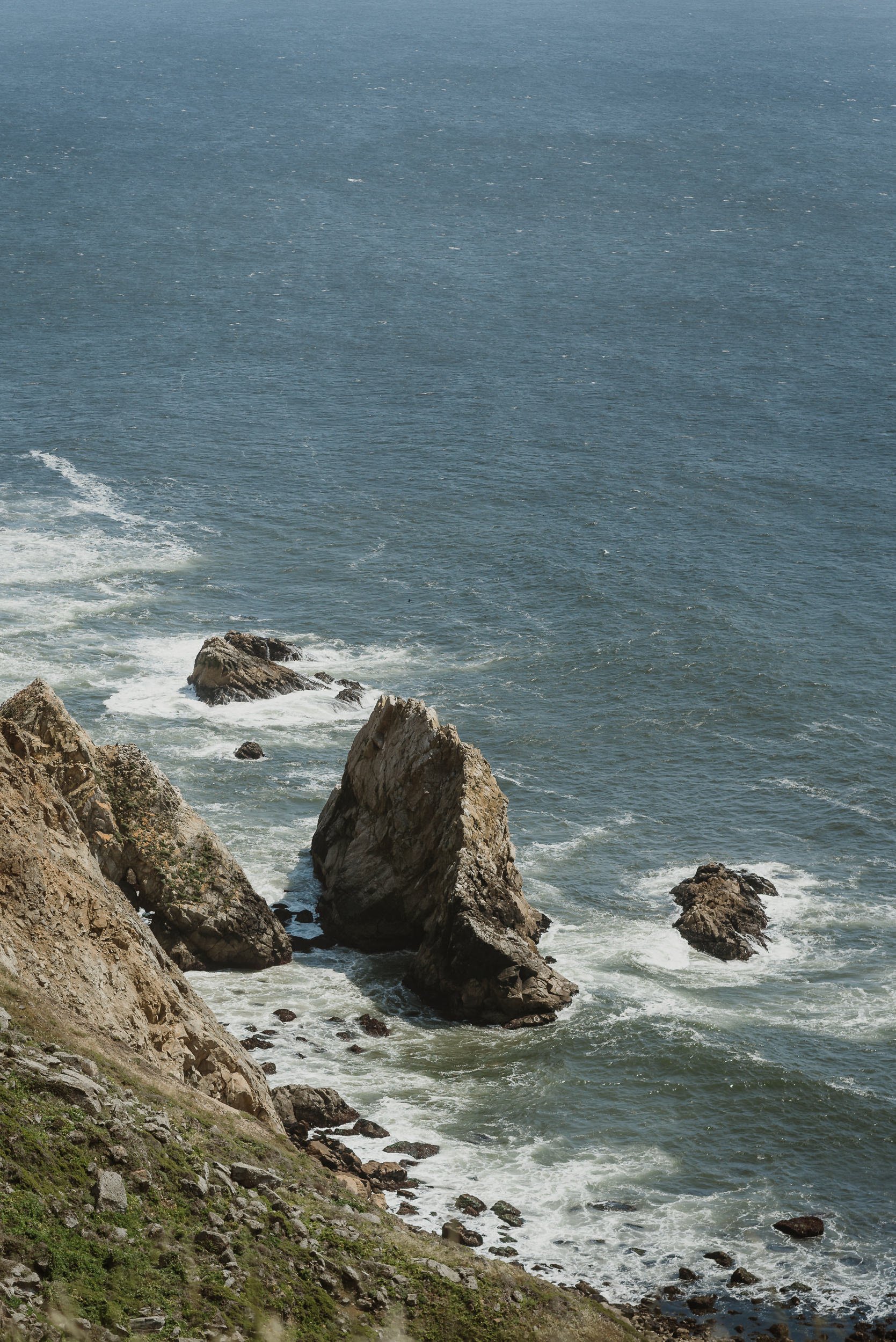 01-point-reyes-national-seashore-intimate-wedding-vivianchen-002.jpg