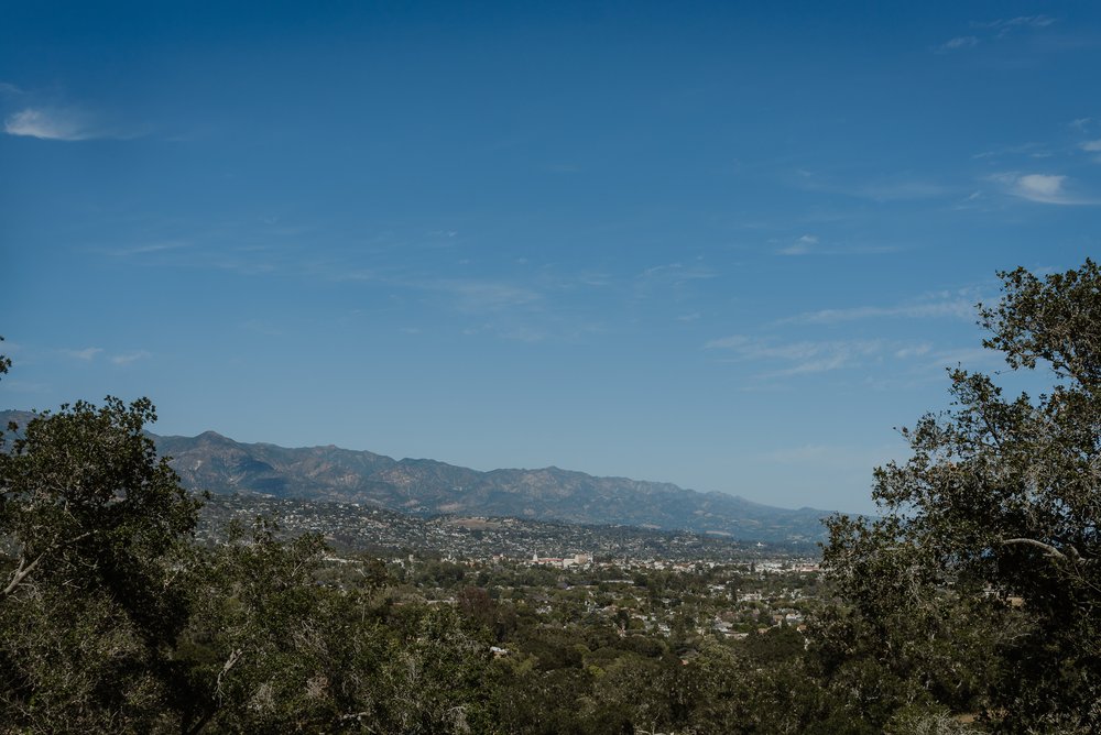 055-godric-grove-elings-park-santa-barbara-wedding-vivianchen-018.jpg