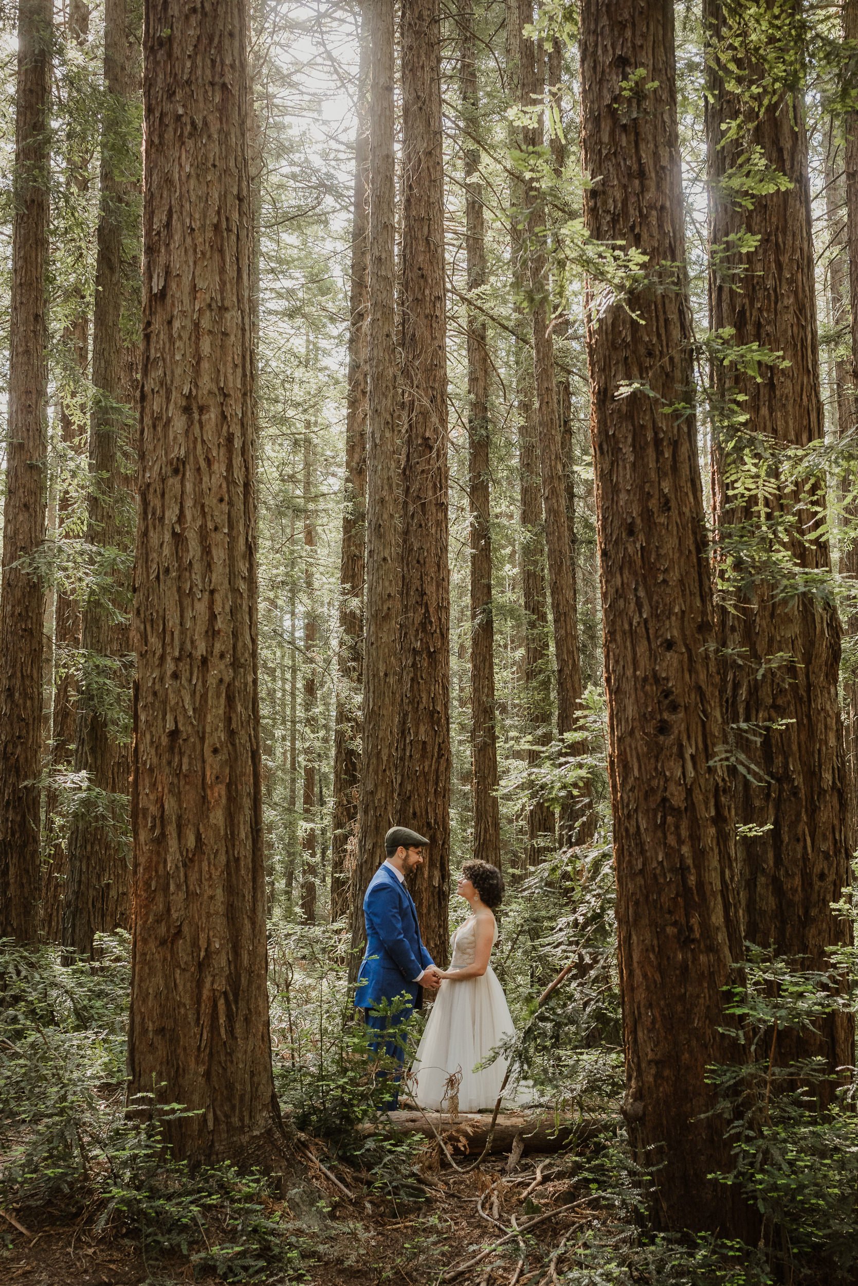 026roberts-regional-park-redwood-wedding-oakland-vivianchen-178.jpg