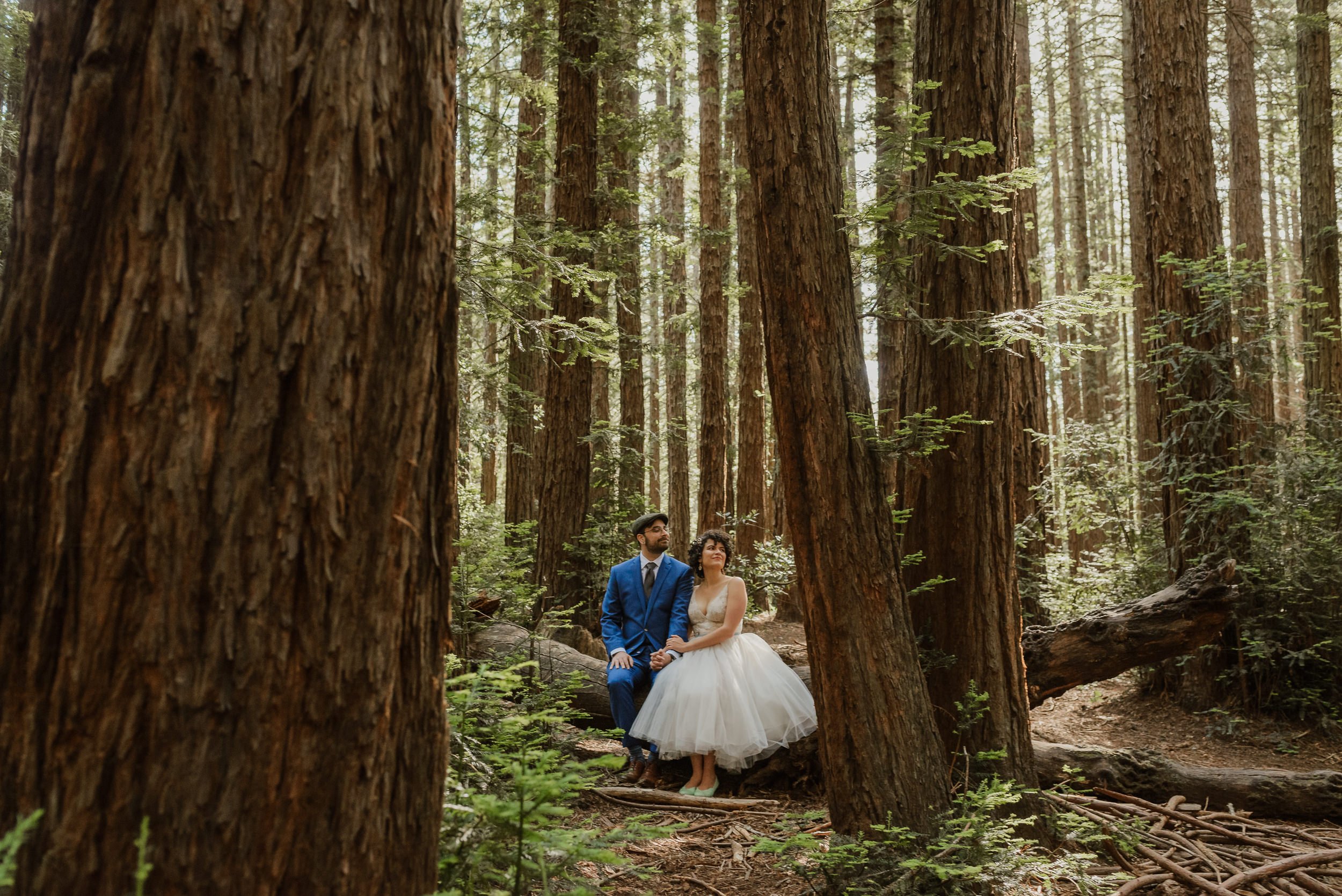 028roberts-regional-park-redwood-wedding-oakland-vivianchen-192.jpg