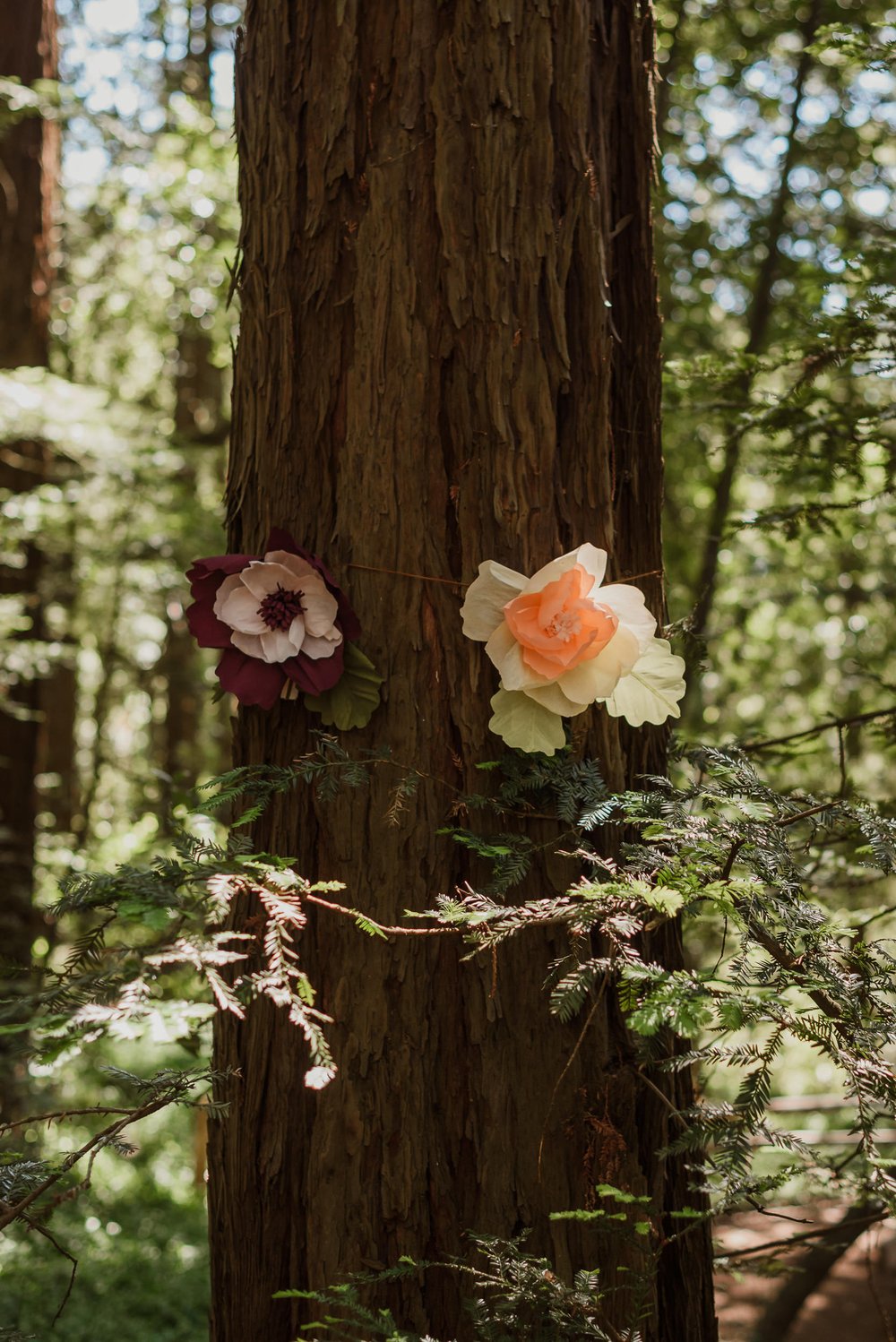 056roberts-regional-park-redwood-wedding-oakland-vivianchen-030.jpg